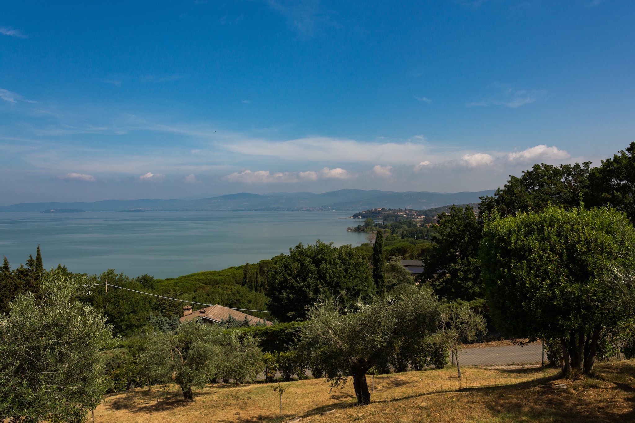 View Summer
