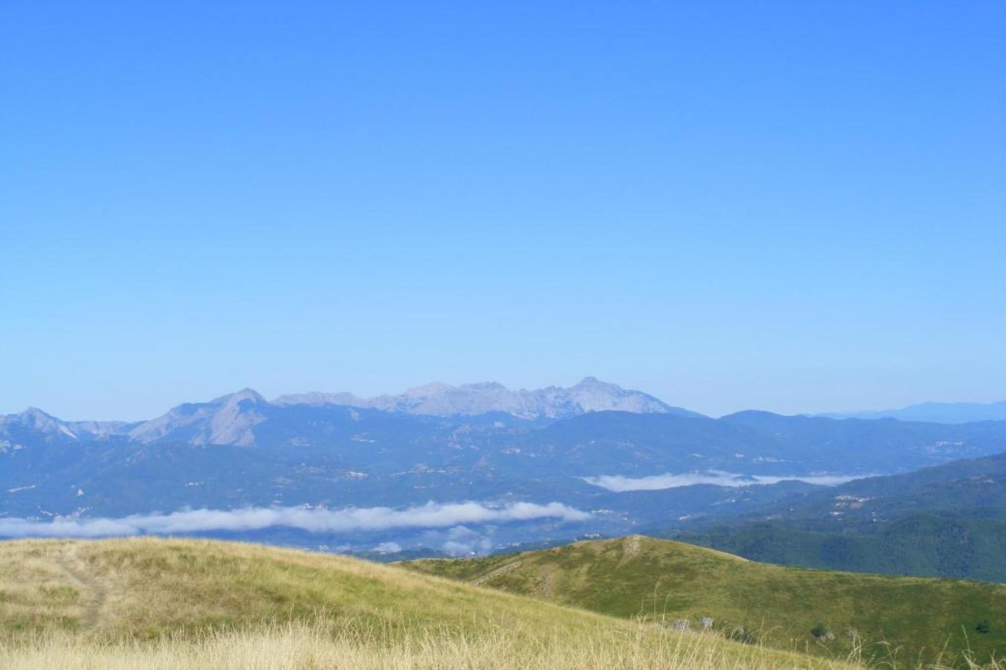 Vignoli-Gebieden zomer 20km