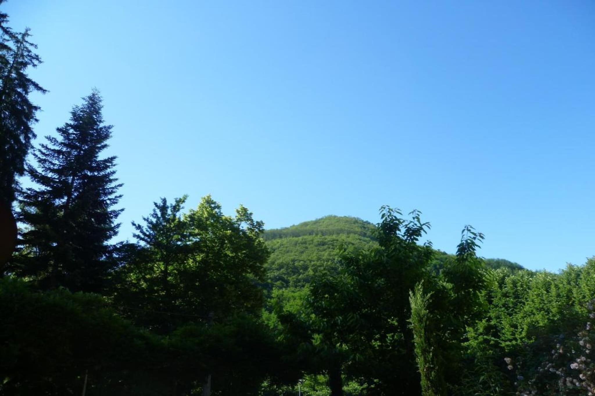 Vignoli-Gebieden zomer 20km
