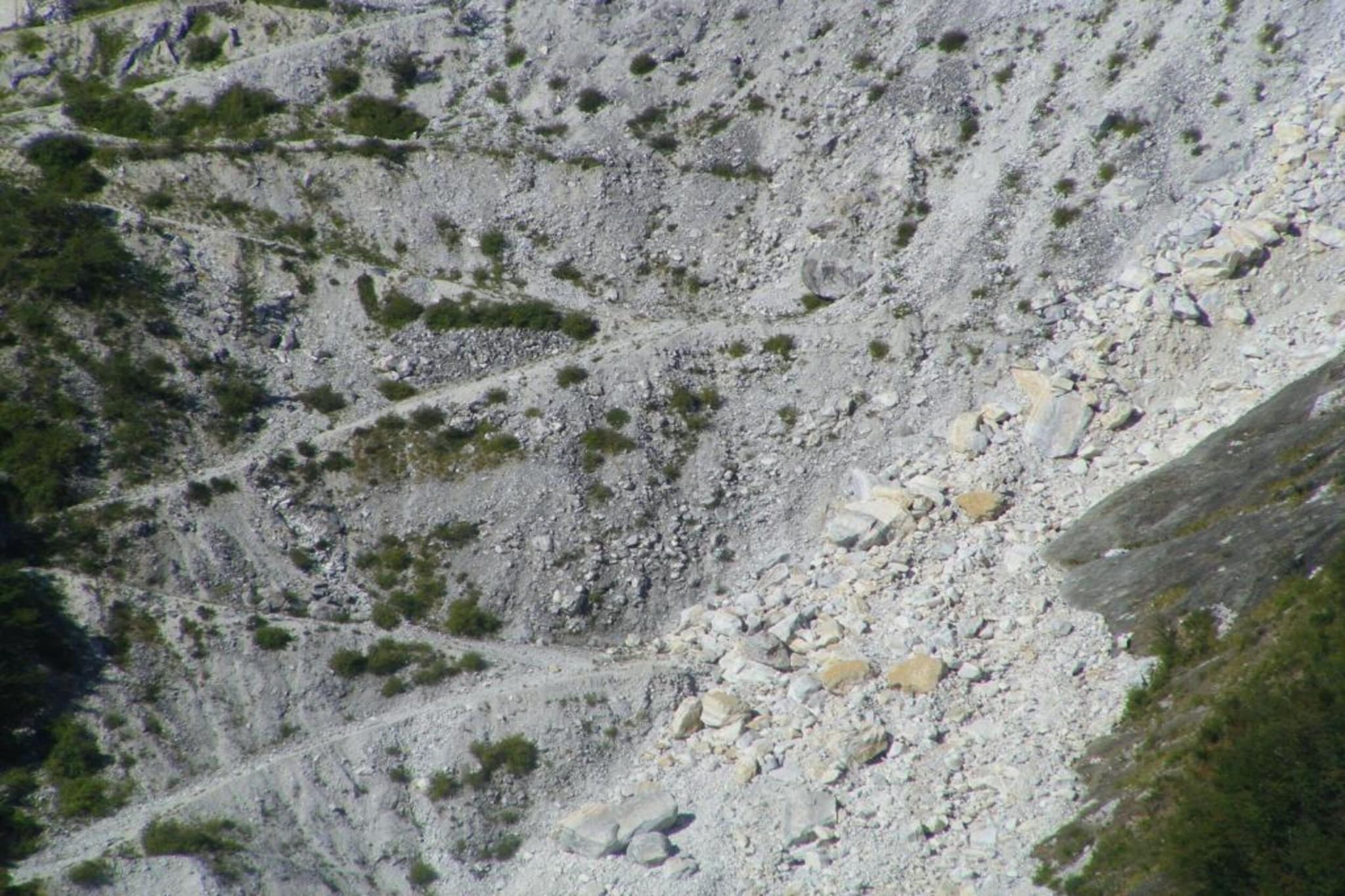Vignoli-Gebieden zomer 20km