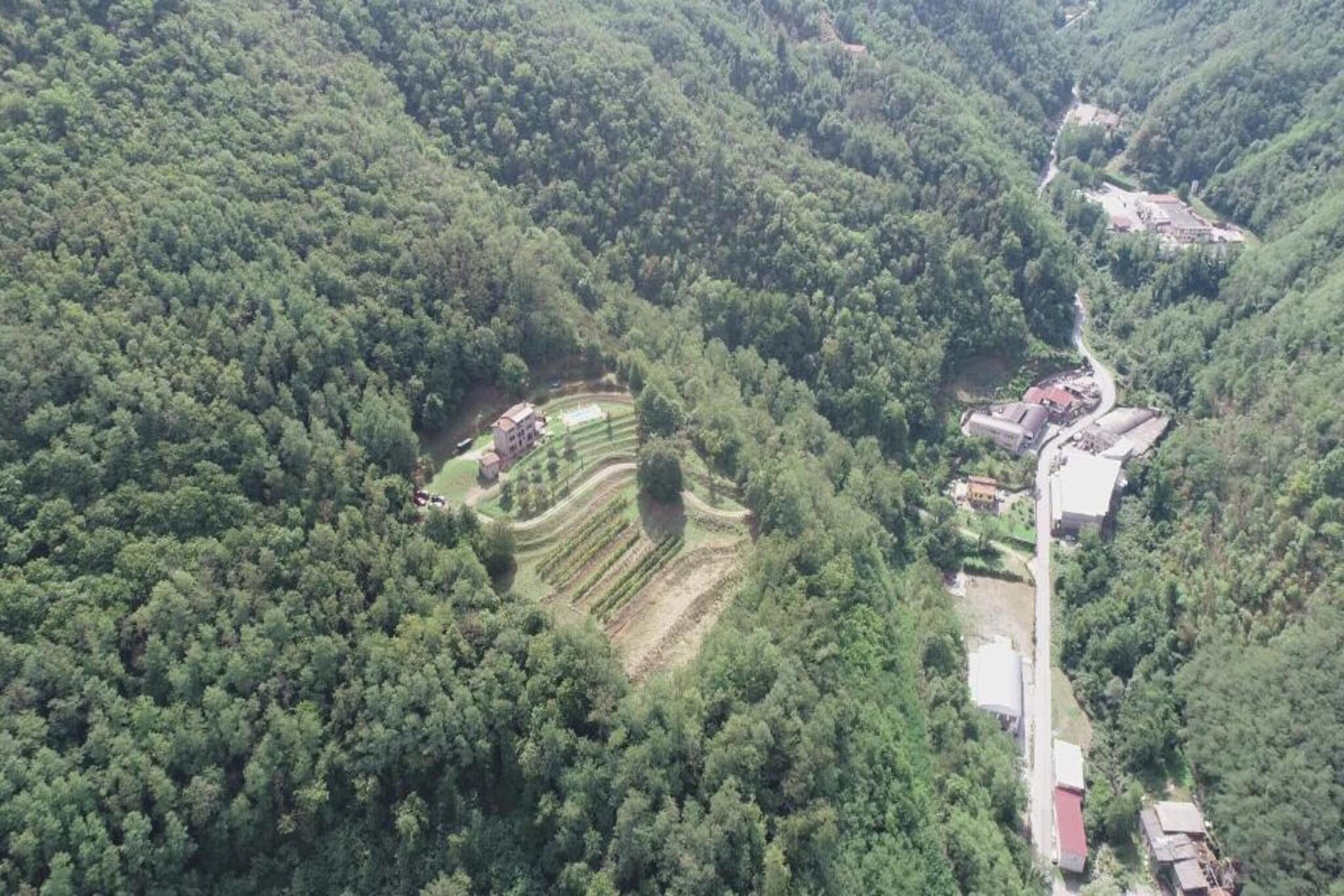 Vignoli-Gebieden zomer 20km