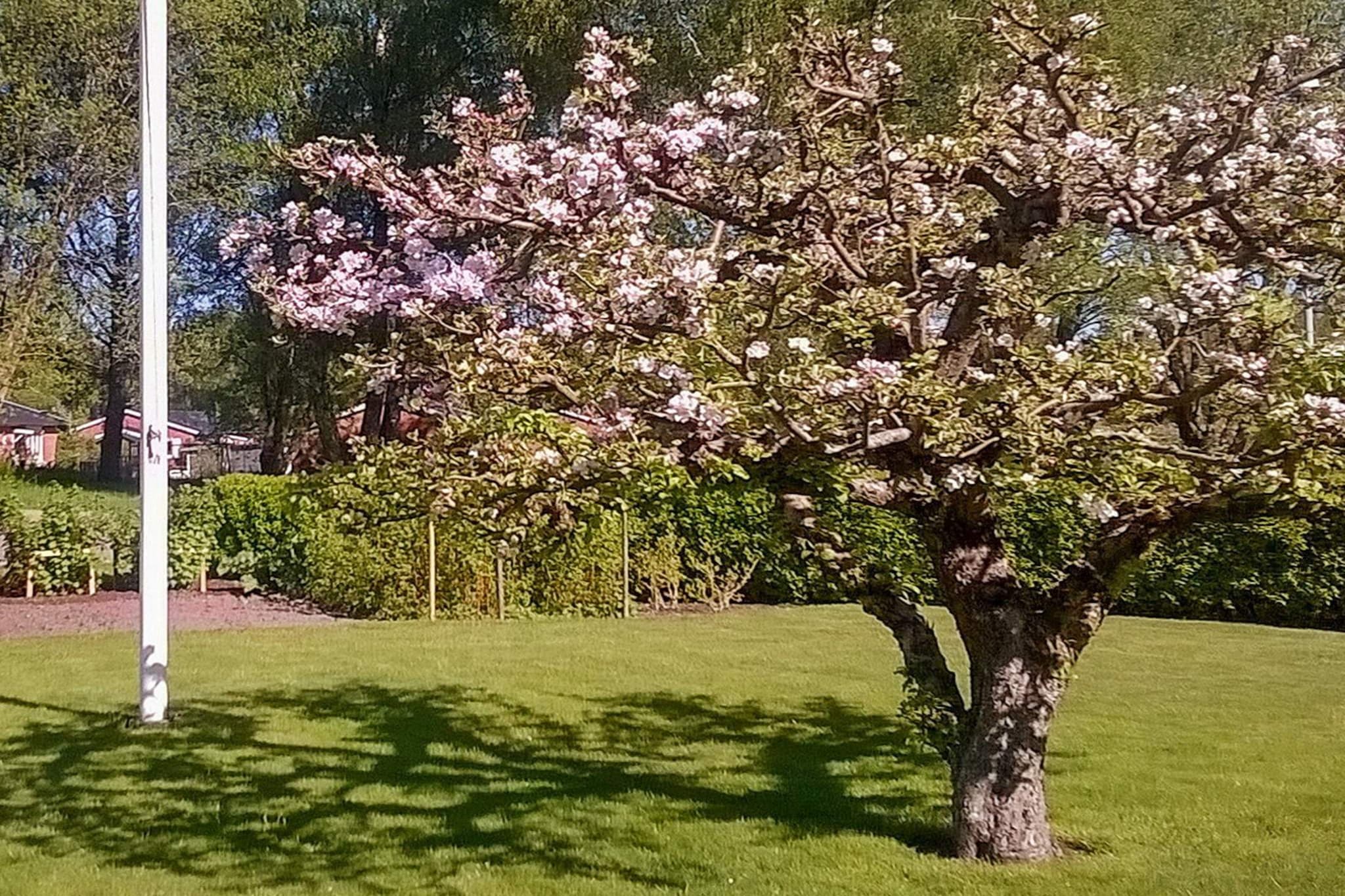 Sweden