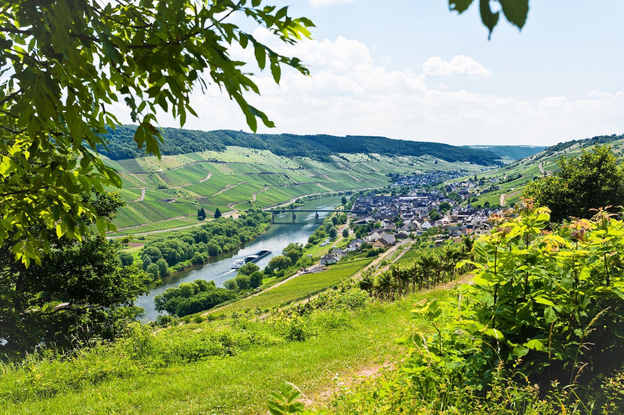 Ferienresort Cochem 15-Gebieden zomer 20km