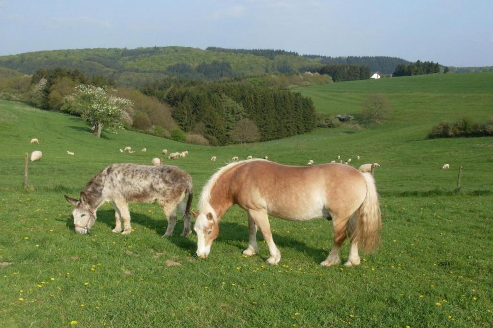 Ferienwohnung Obergeschoss Weitblick II-Gebieden zomer 5km