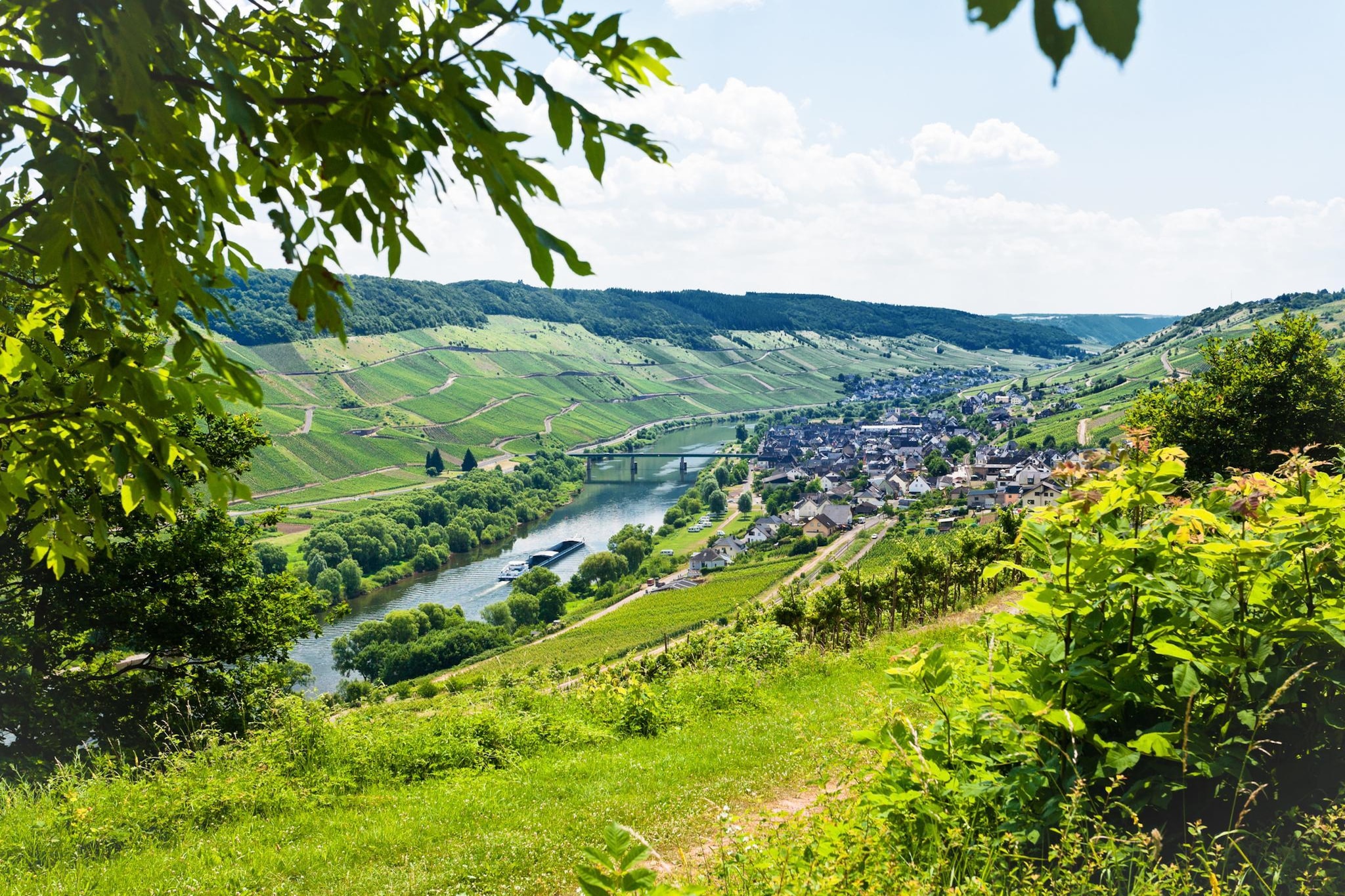 Ferienresort Cochem 16-Gebieden zomer 20km