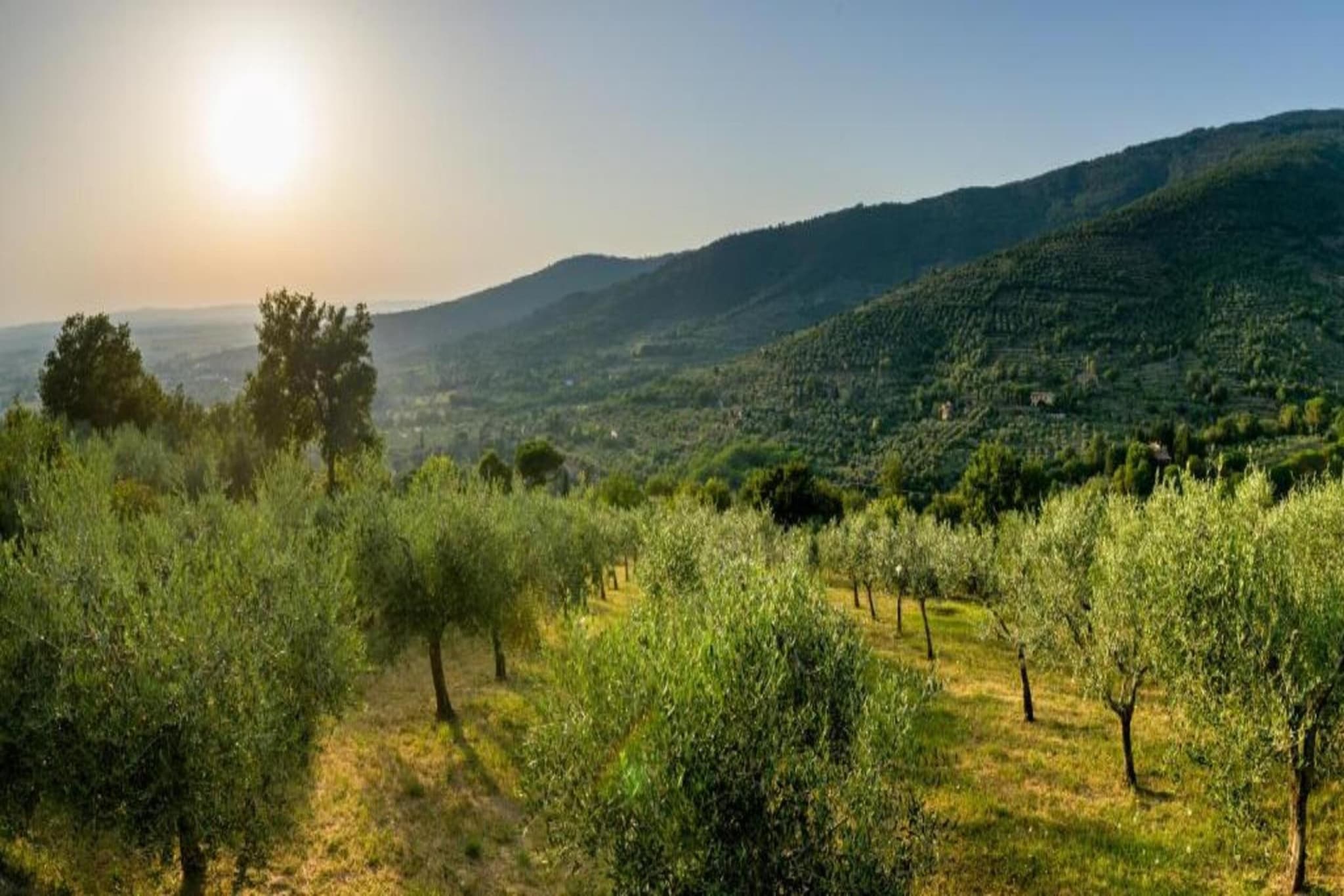 Borgo Le Spighe-Gebieden zomer 5km
