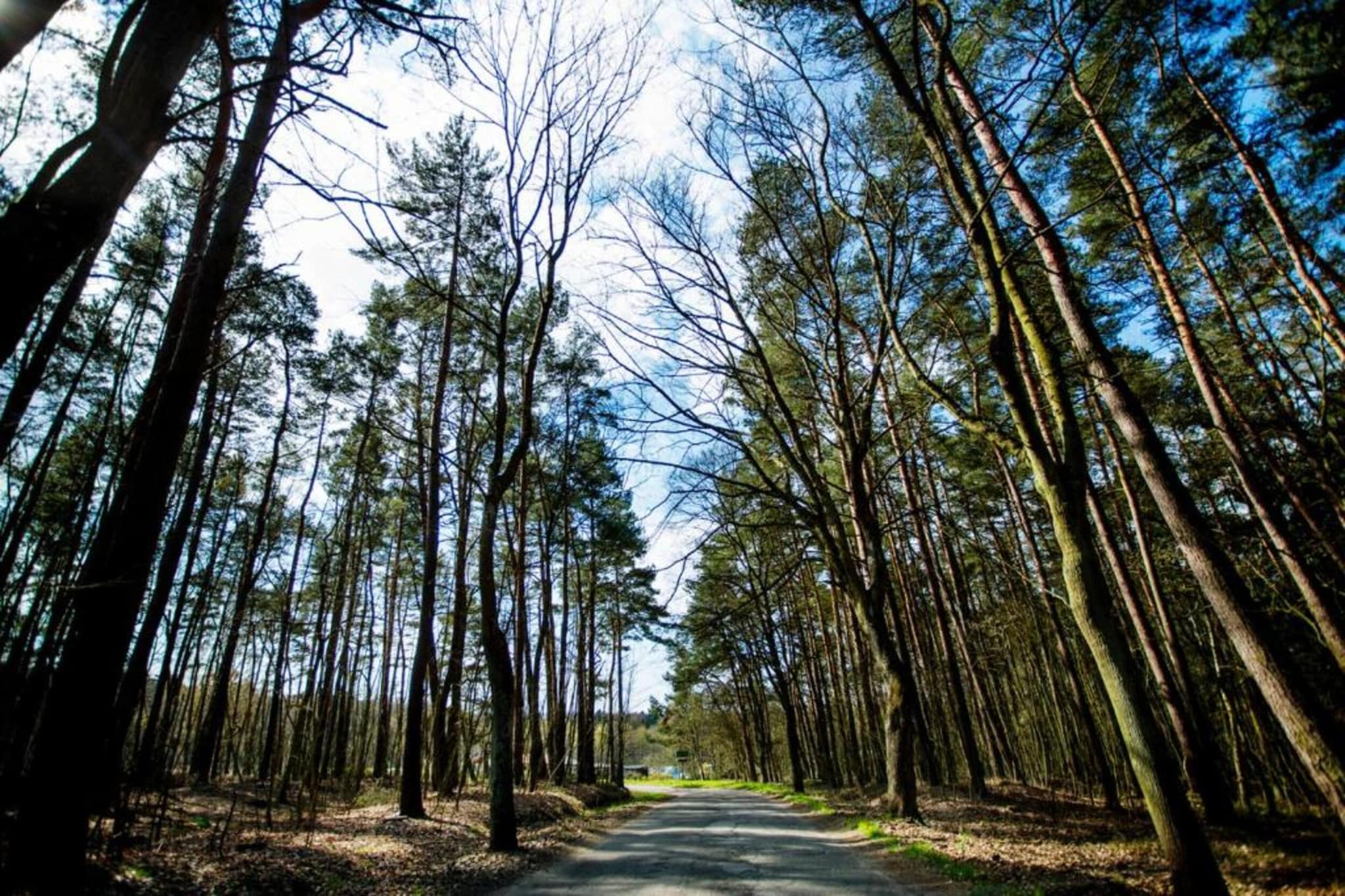 Willa Karwieńskie Błoto Drugie-Gebieden zomer 20km