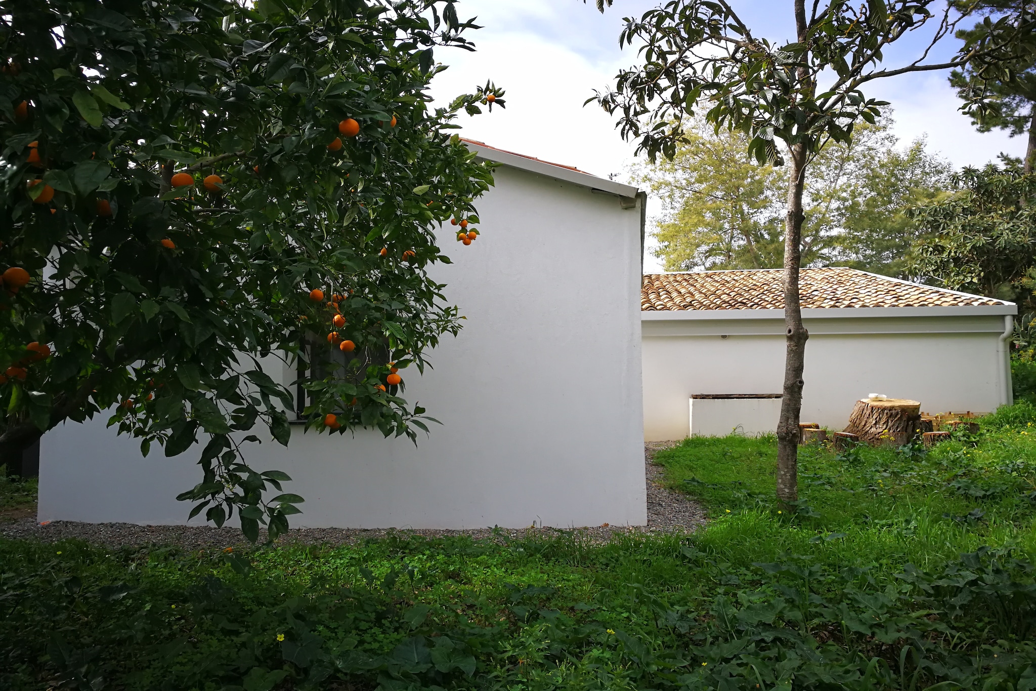 Exterior Summer