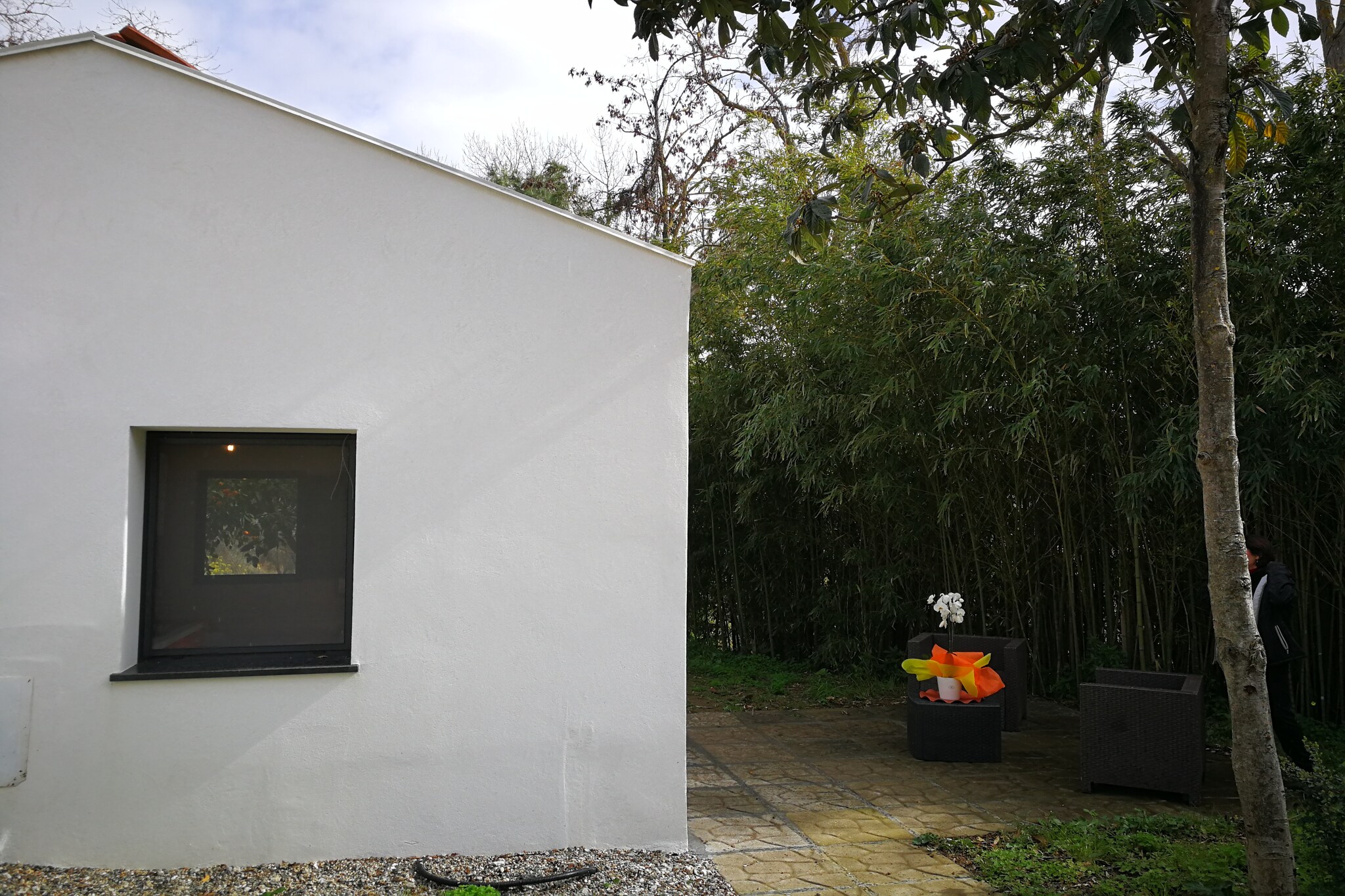Exterior Summer