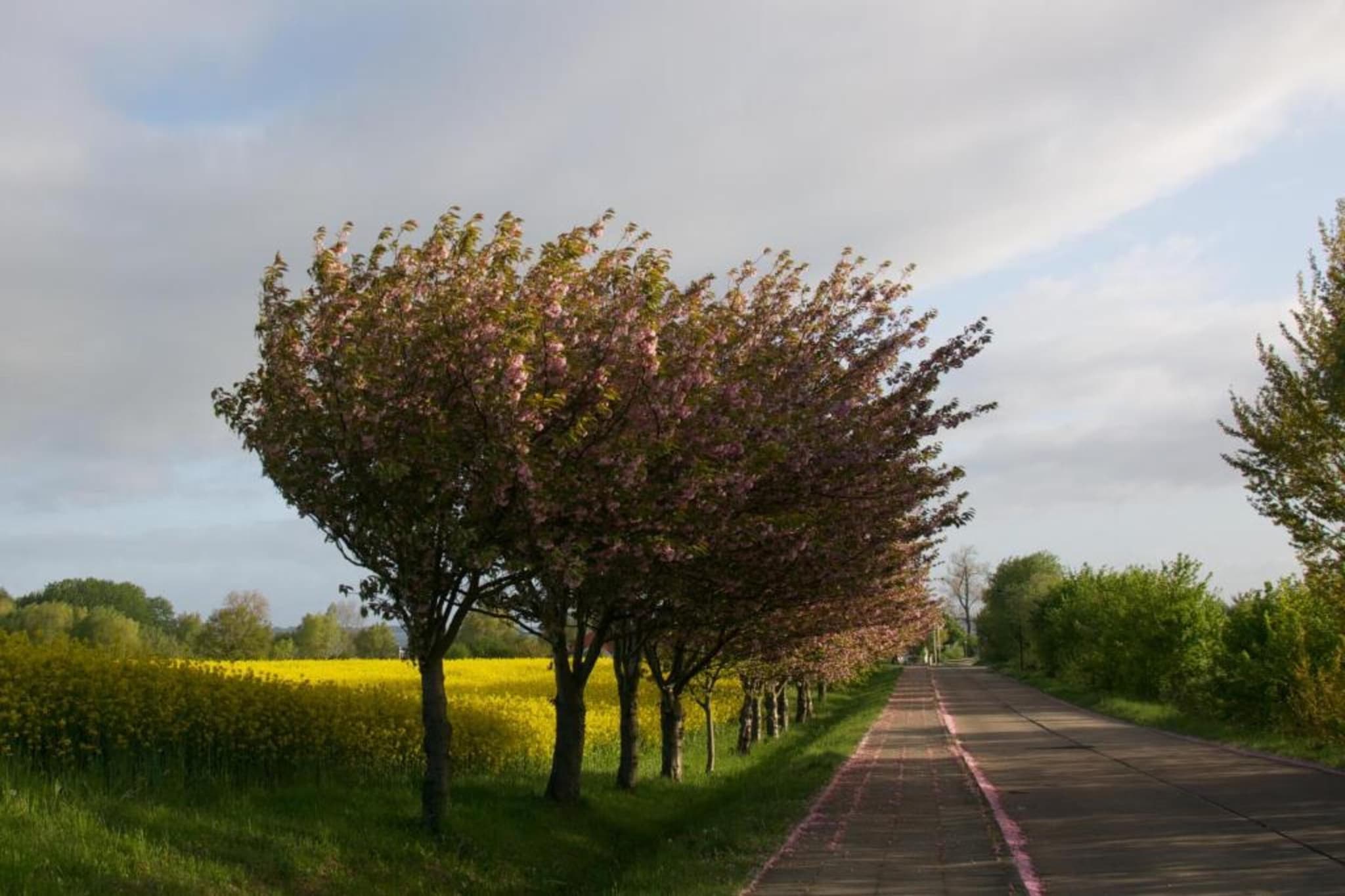 Hohenkirchen mit Garten Terrasse und Strandkorb-Gebieden zomer 20km