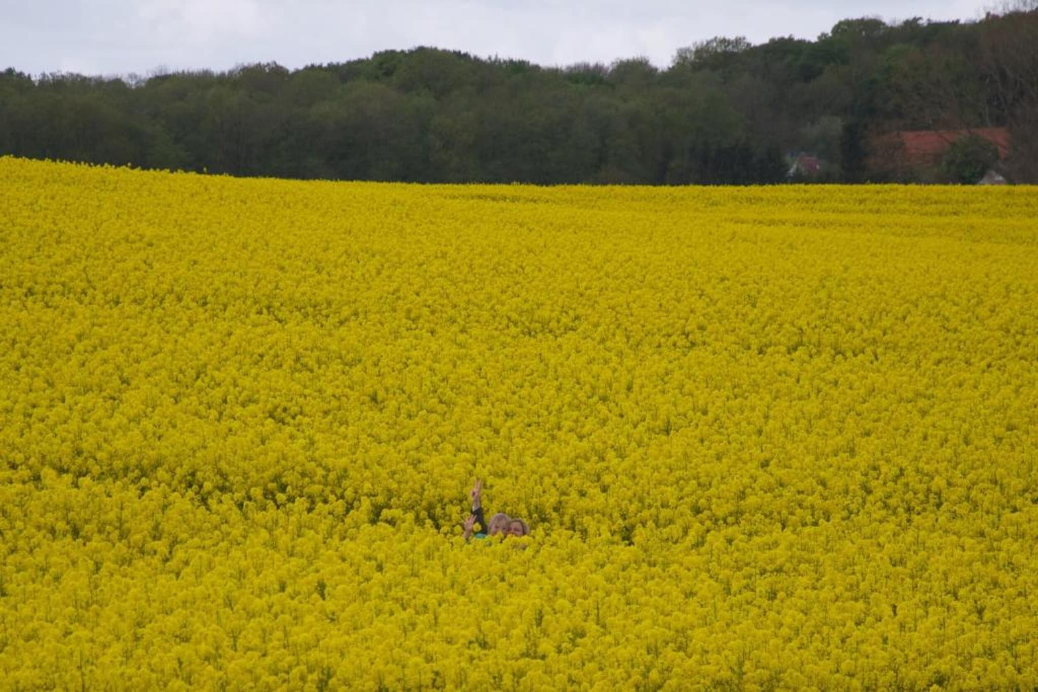 Hohenkirchen mit Garten Terrasse und Strandkorb-Gebieden zomer 20km