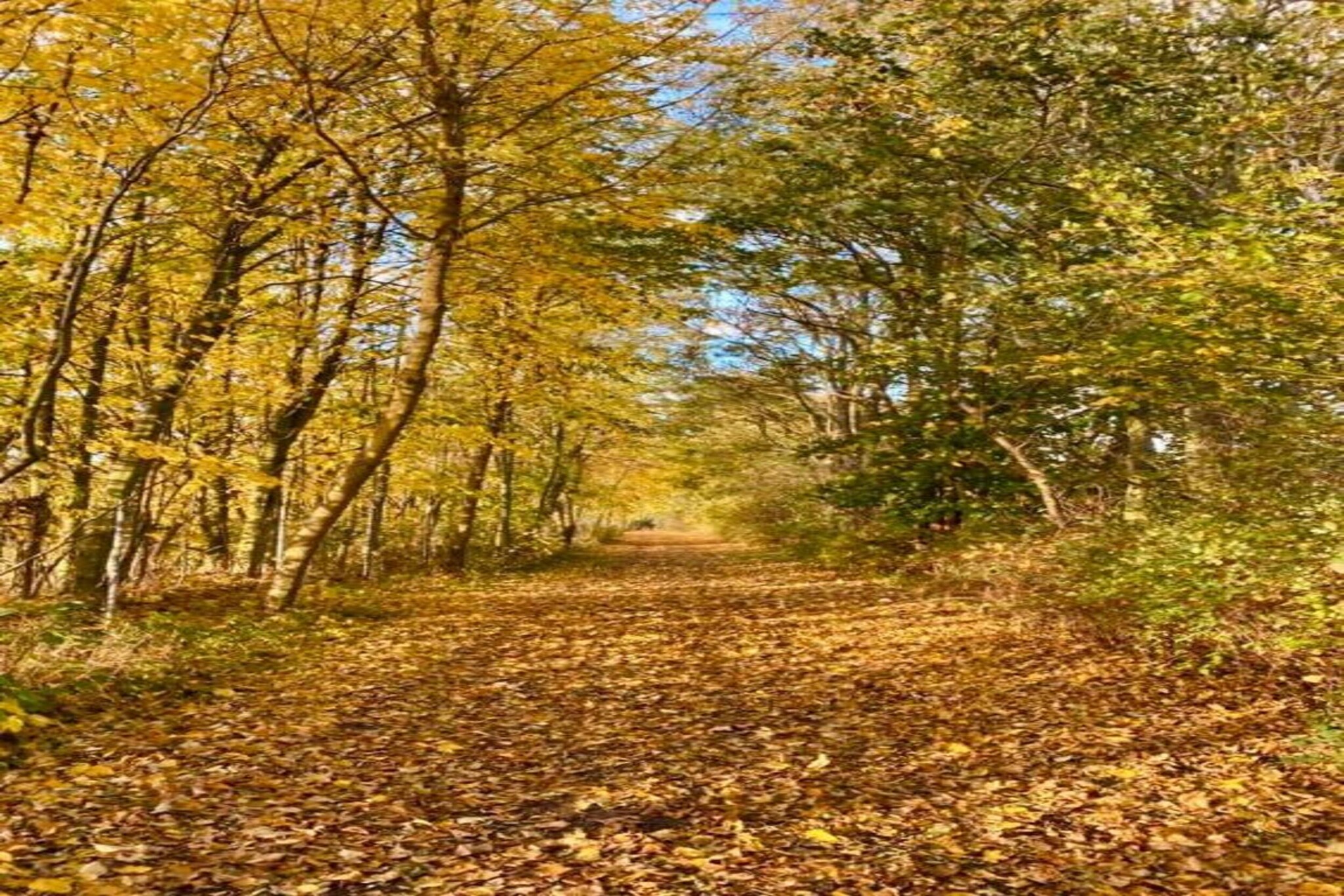 Hohenkirchen mit Garten Terrasse und Strandkorb-Gebieden zomer 20km