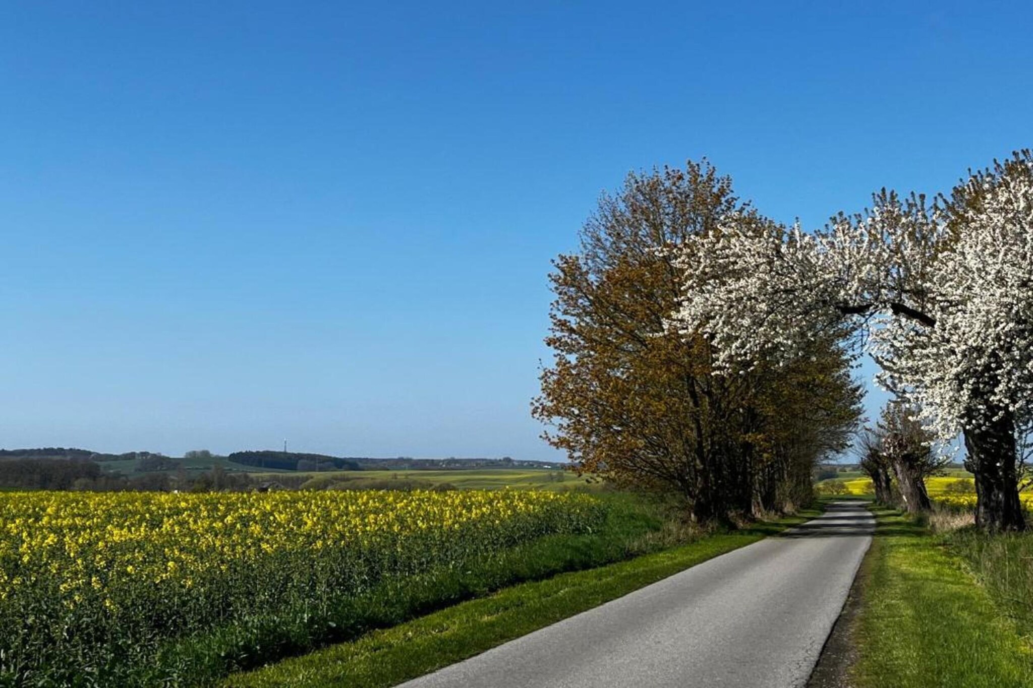 Hohenkirchen mit Garten Terrasse und Strandkorb-Gebieden zomer 20km