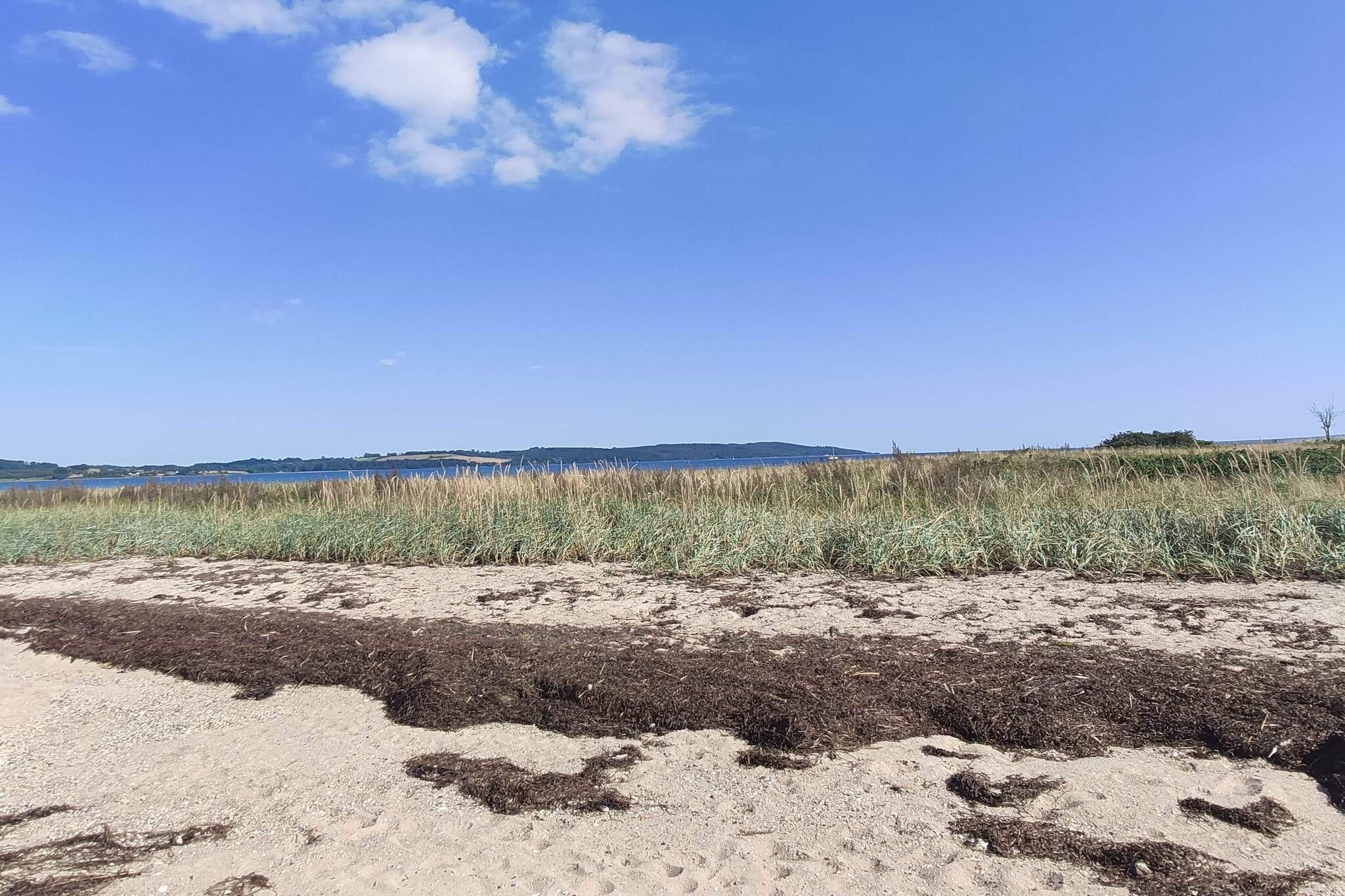 6 persoons vakantie huis in Børkop