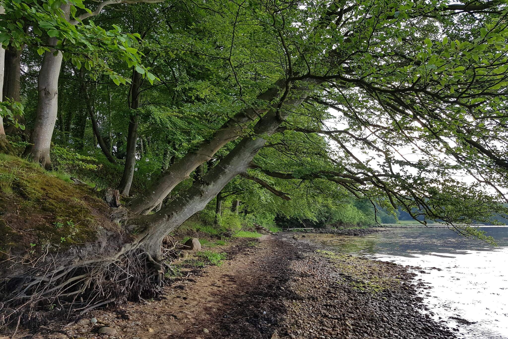 6 persoons vakantie huis in Børkop-Waterzicht