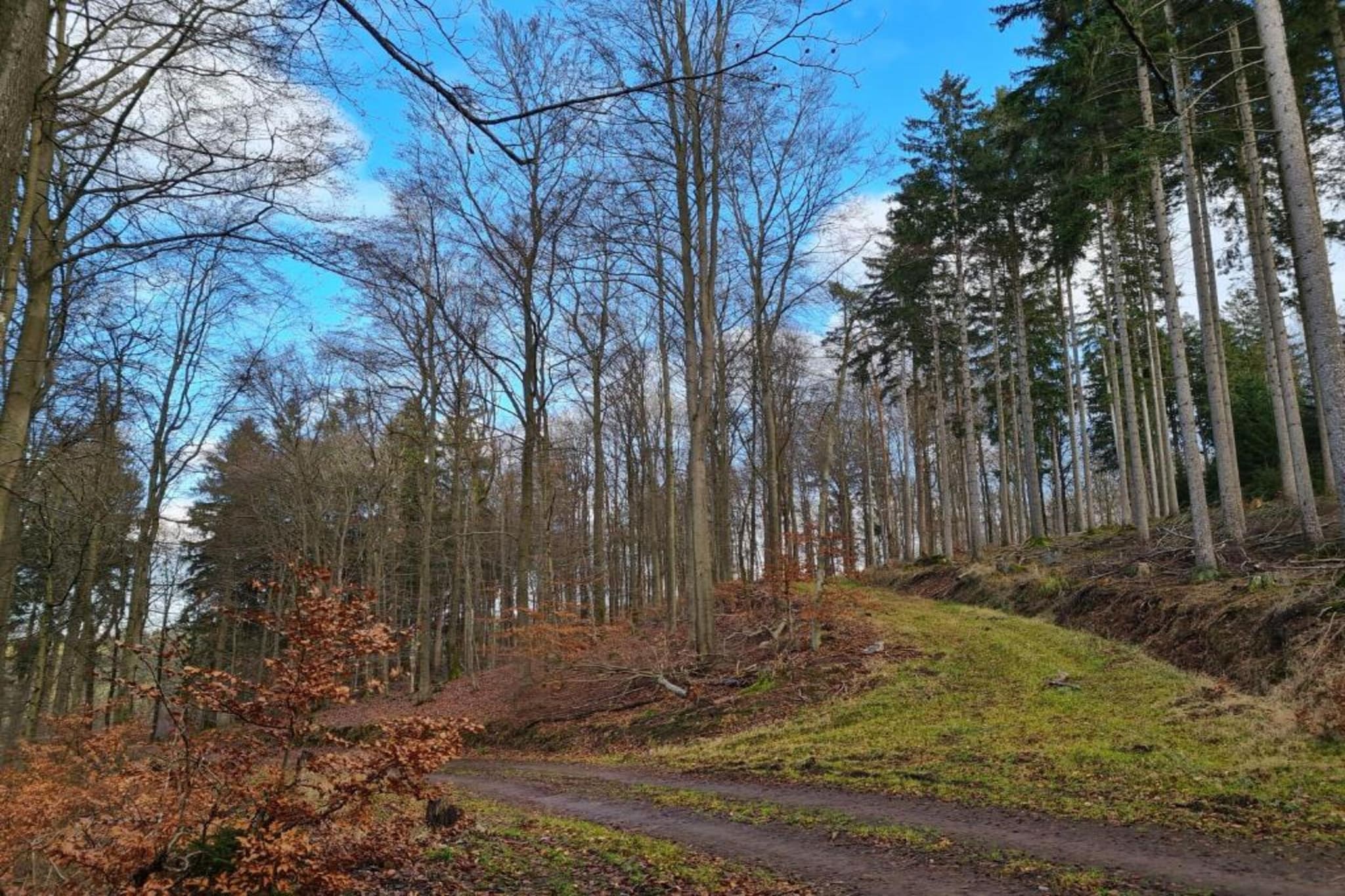 Im Schönen Kylltal-Gebieden zomer 20km