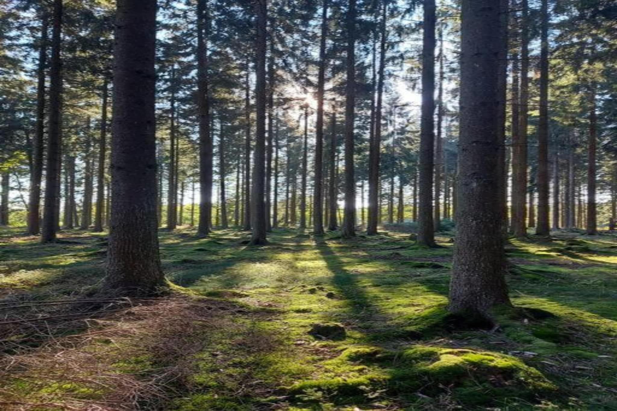 Im Schönen Kylltal-Gebieden zomer 20km