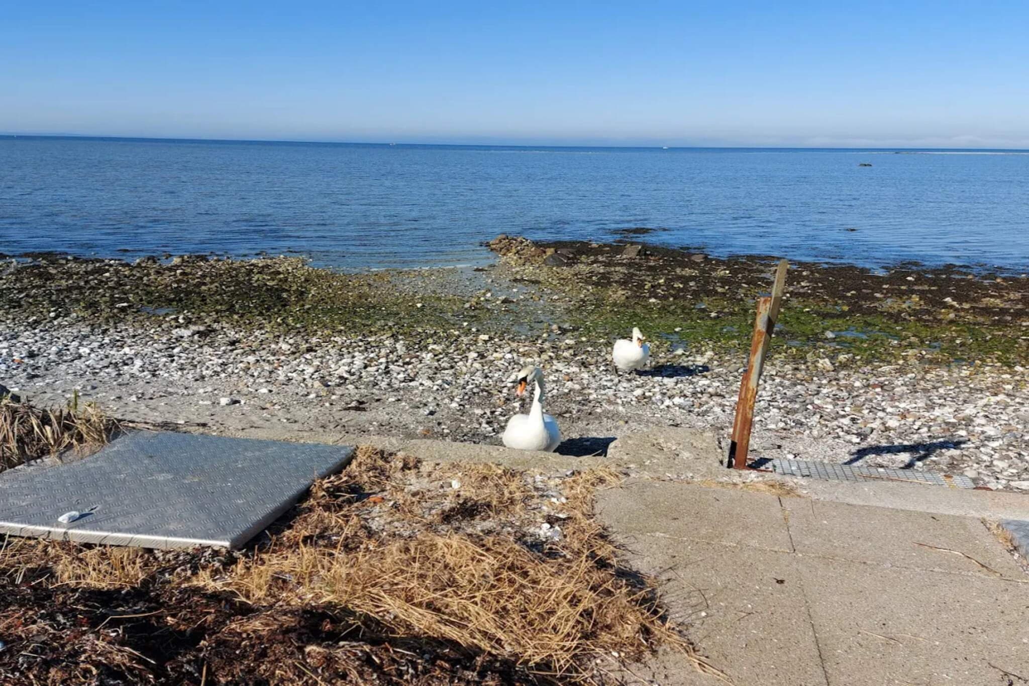 4 persoons vakantie huis in Bogense-By Traum-Waterzicht