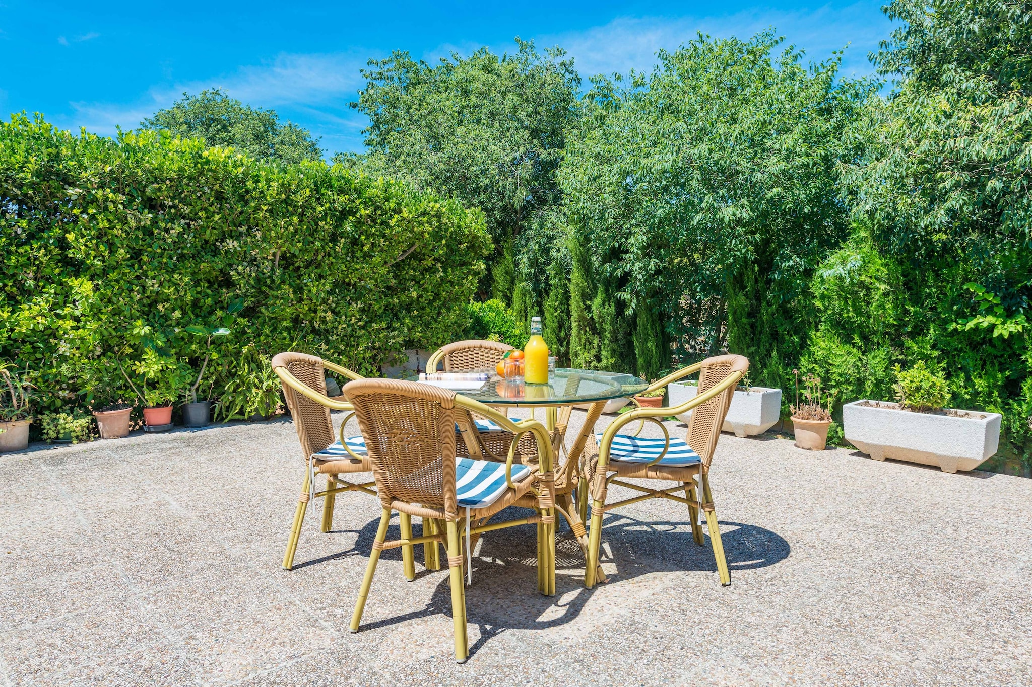 Garden Summer