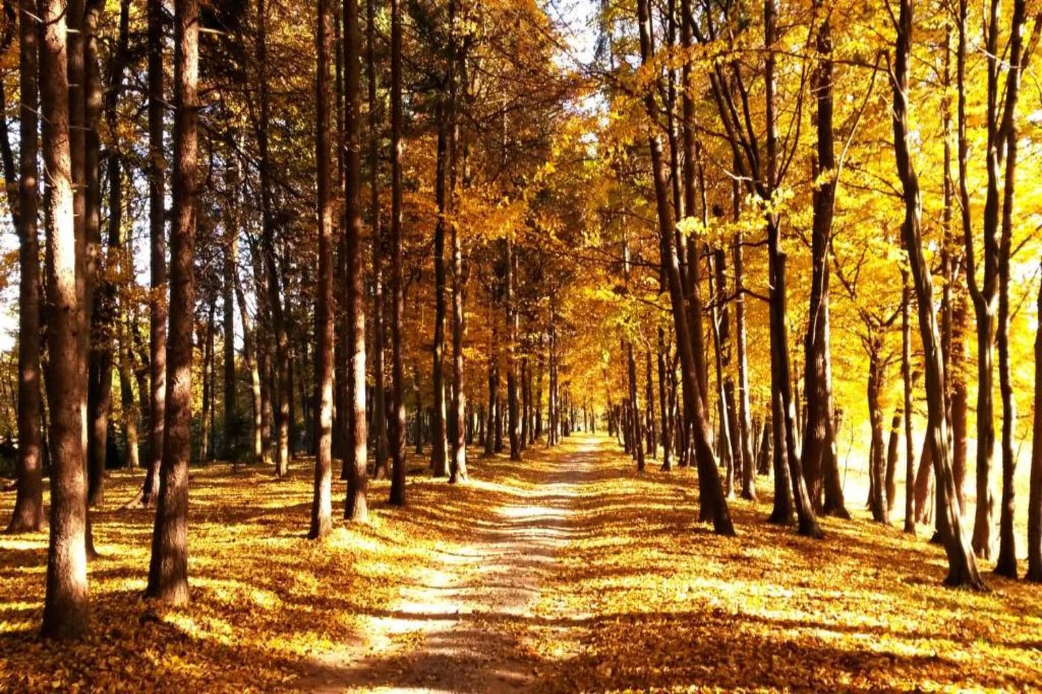 Villa Dobczyce-Gebieden zomer 5km
