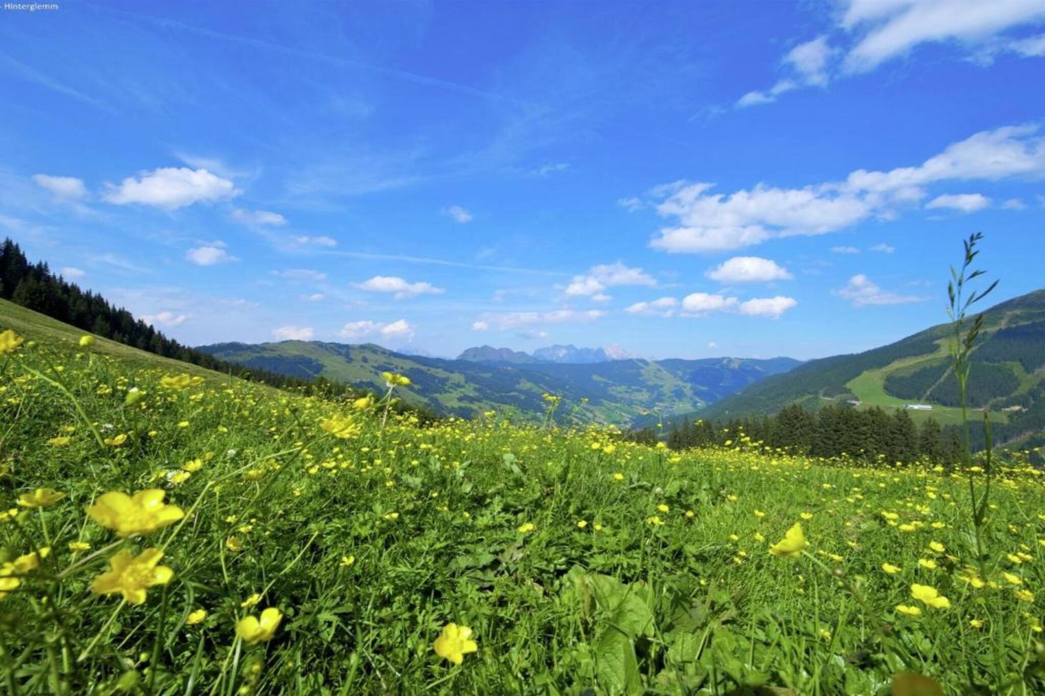 Chalet Apartment Sonnspitz - Mittenwald-Gebieden zomer 20km