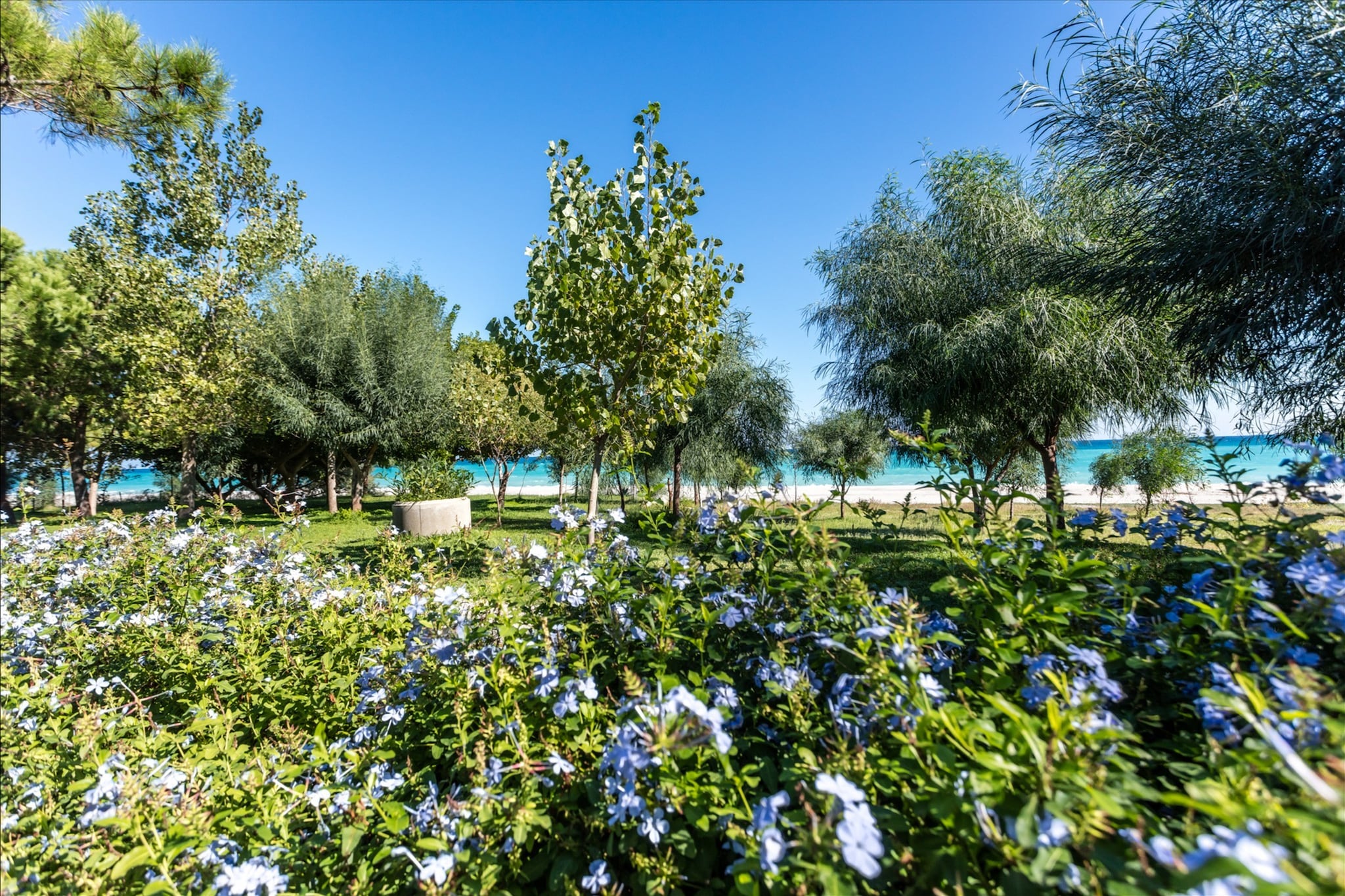 Garden - Jardins en été