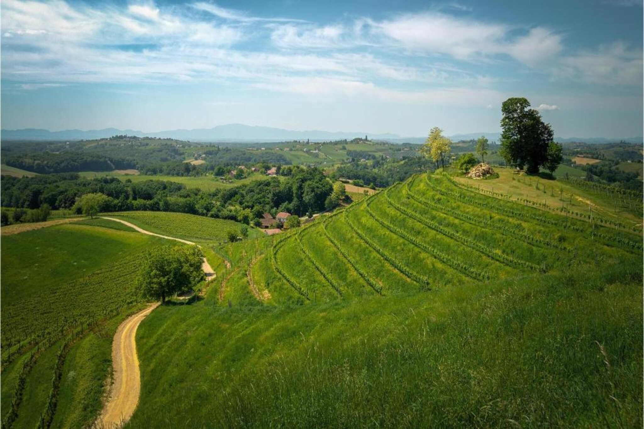 Holiday Home Frankovic-Gebieden zomer 20km