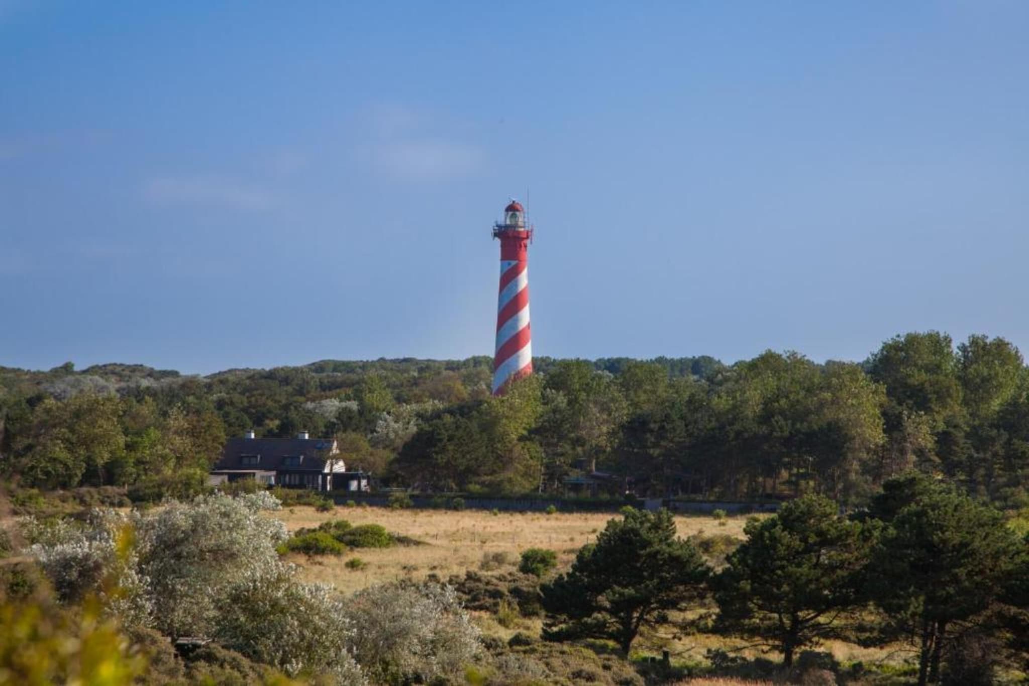 Vakantiepark de Soeten Haert 14-Gebieden zomer 1km