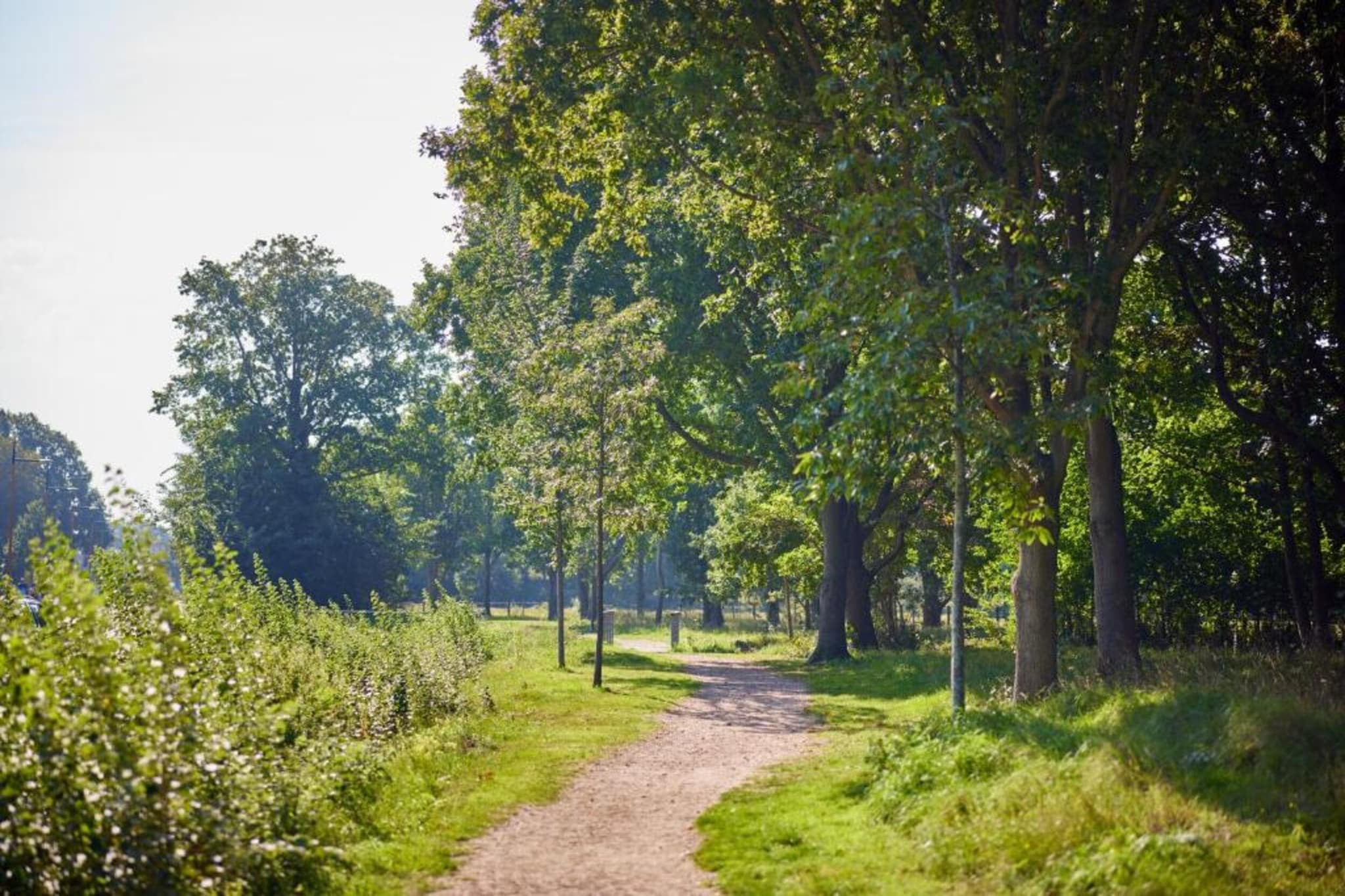 Vakantiepark de Soeten Haert 14-Gebieden zomer 1km