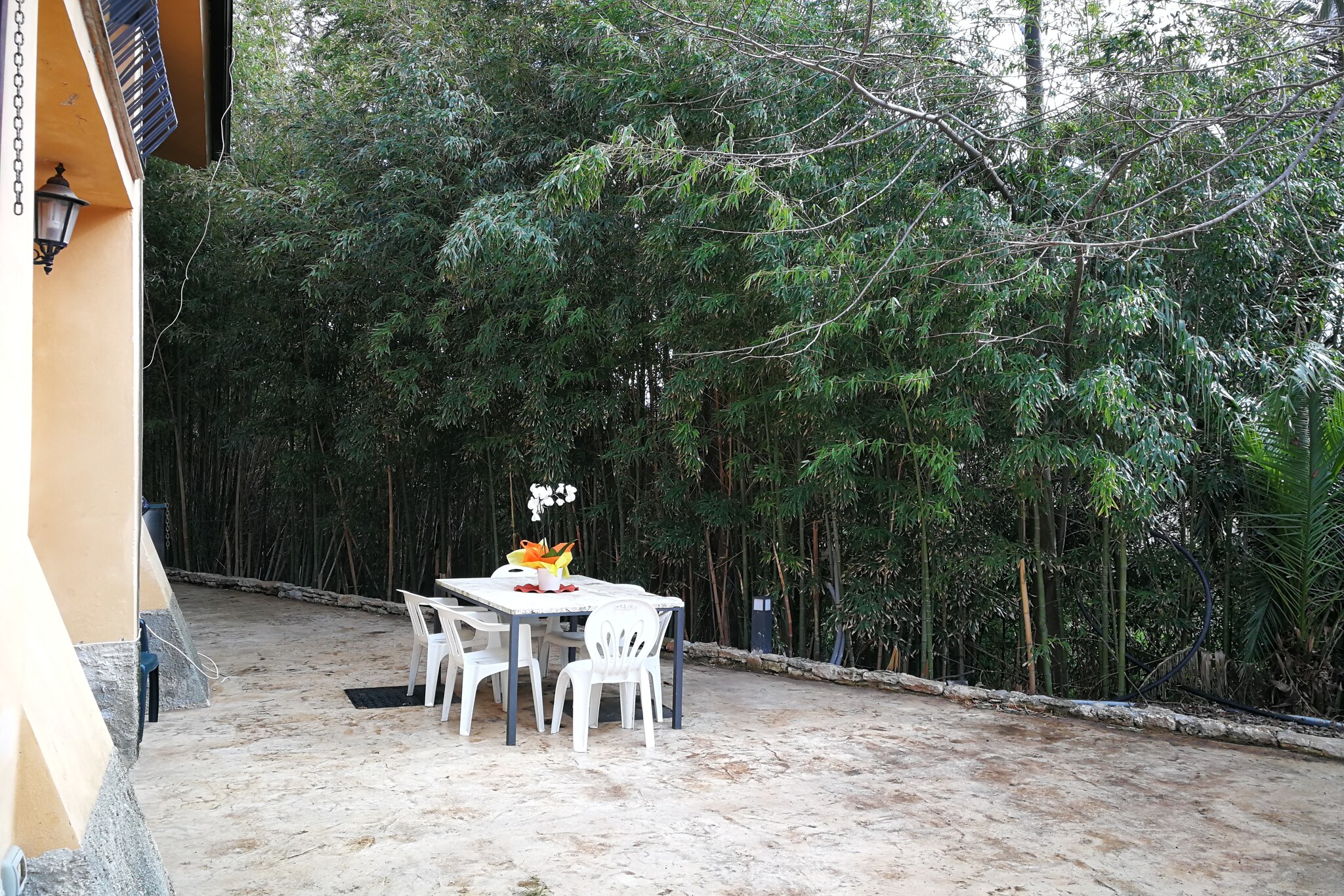 Terrace Balcony
