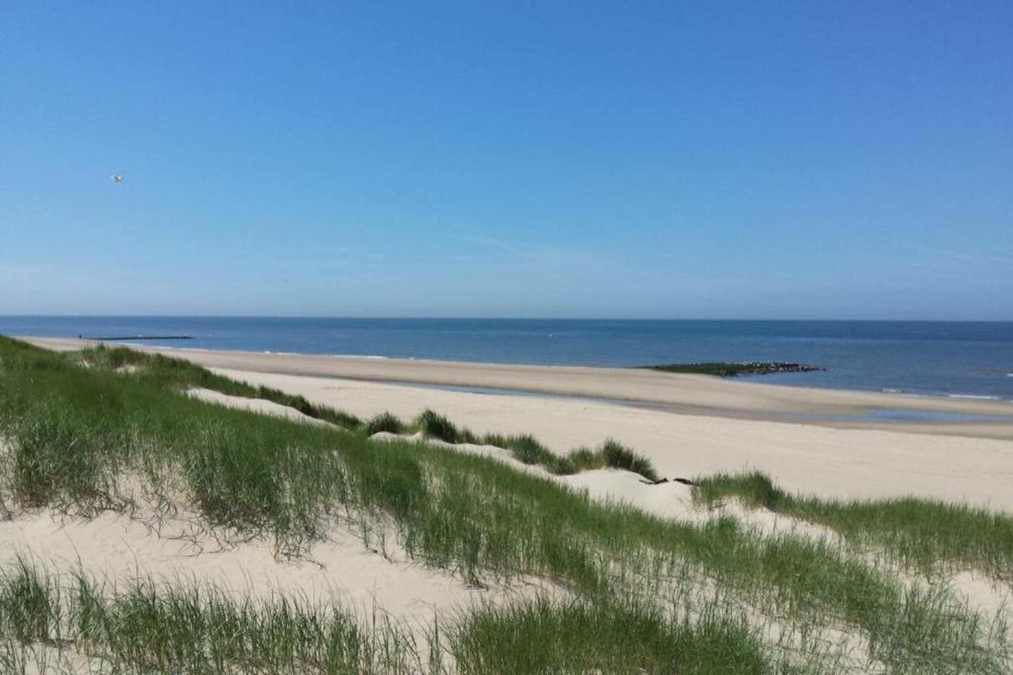 Hazenborgh - Studio Eb-Gebieden zomer 20km