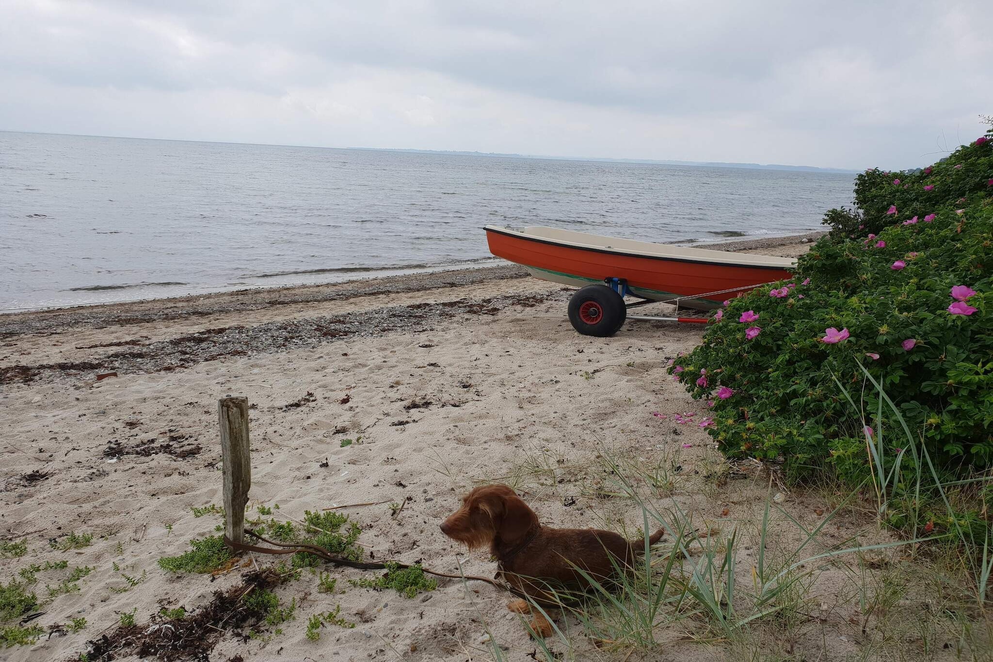 10 Personen Ferienhaus in Haderslev-By Traum-Wasserblick