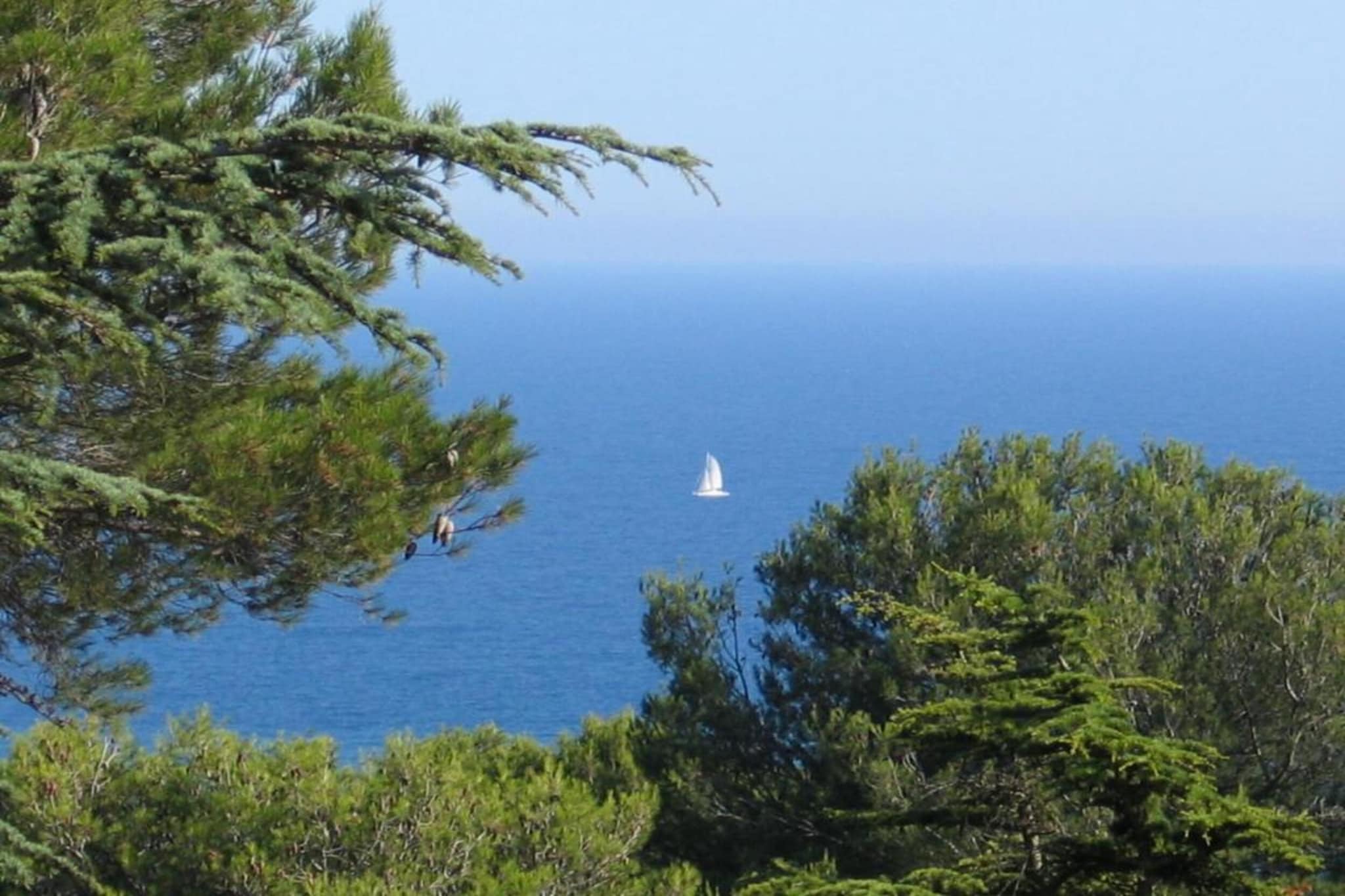 Club Saint Loup 3-Gebieden zomer 20km
