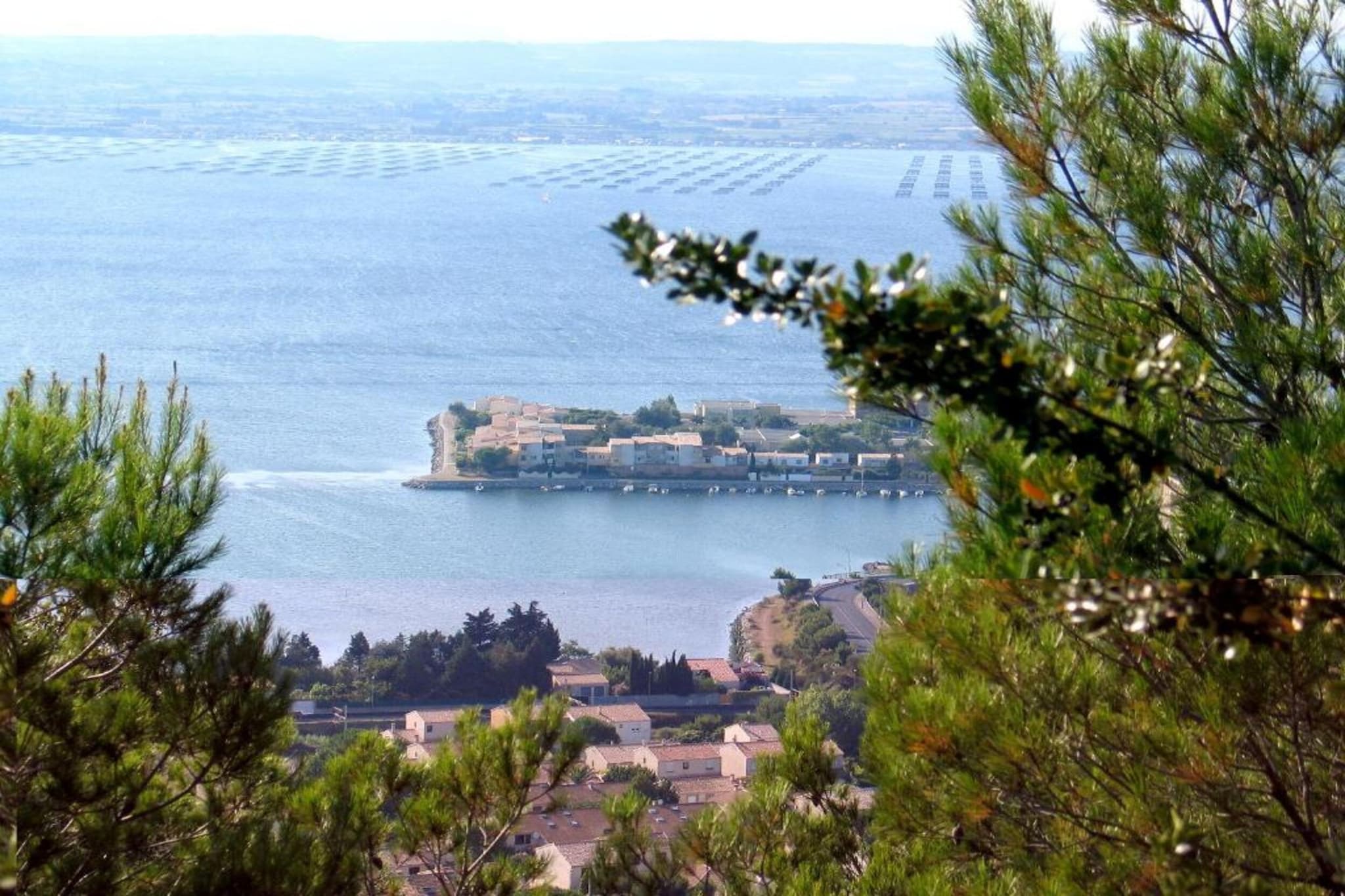 Club Saint Loup 3-Gebieden zomer 20km