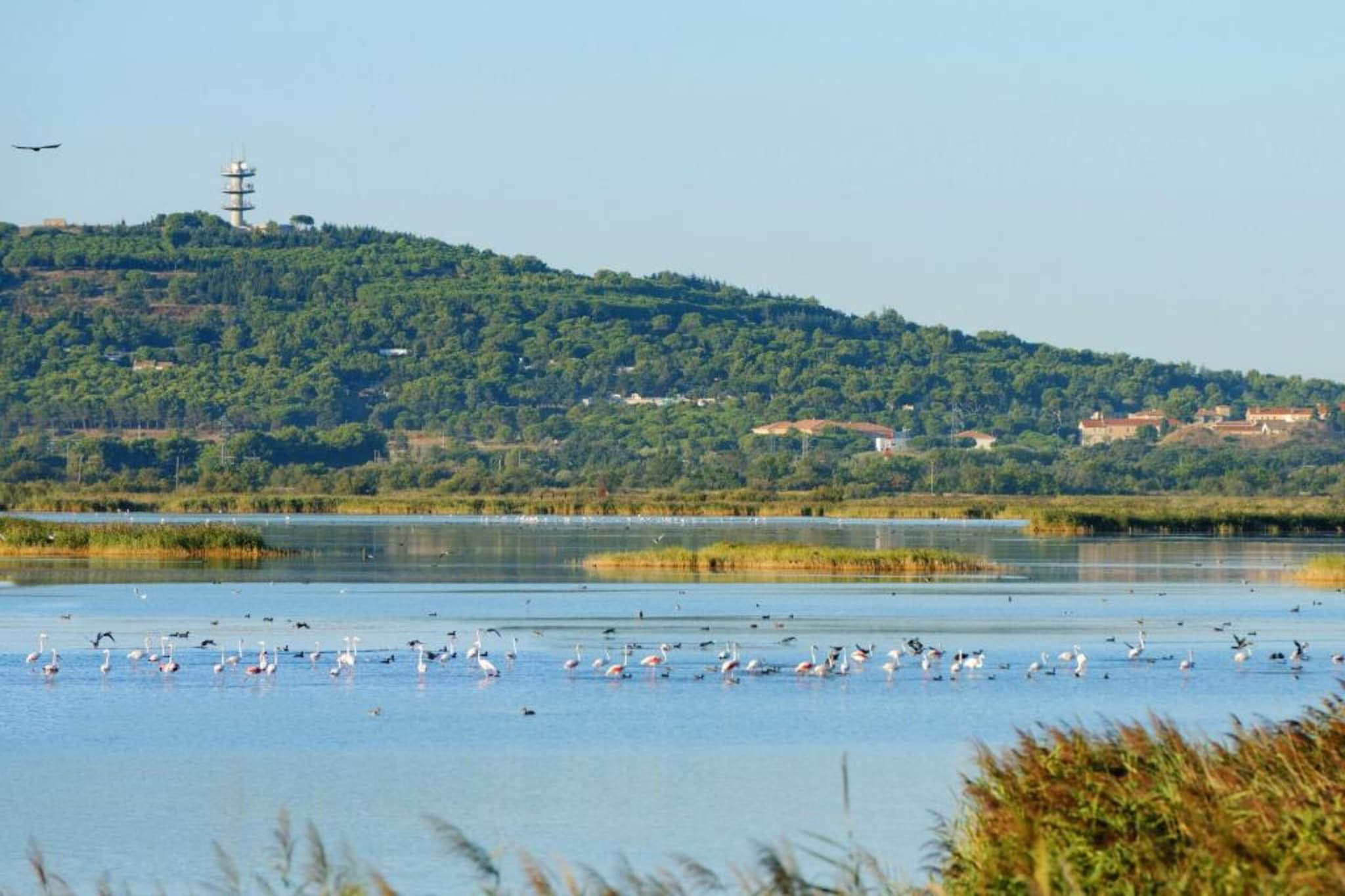 Club Saint Loup 3-Gebieden zomer 20km