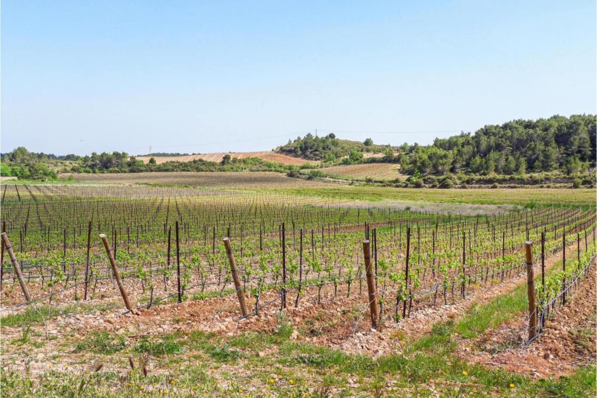 Club Saint Loup 3-Gebieden zomer 20km