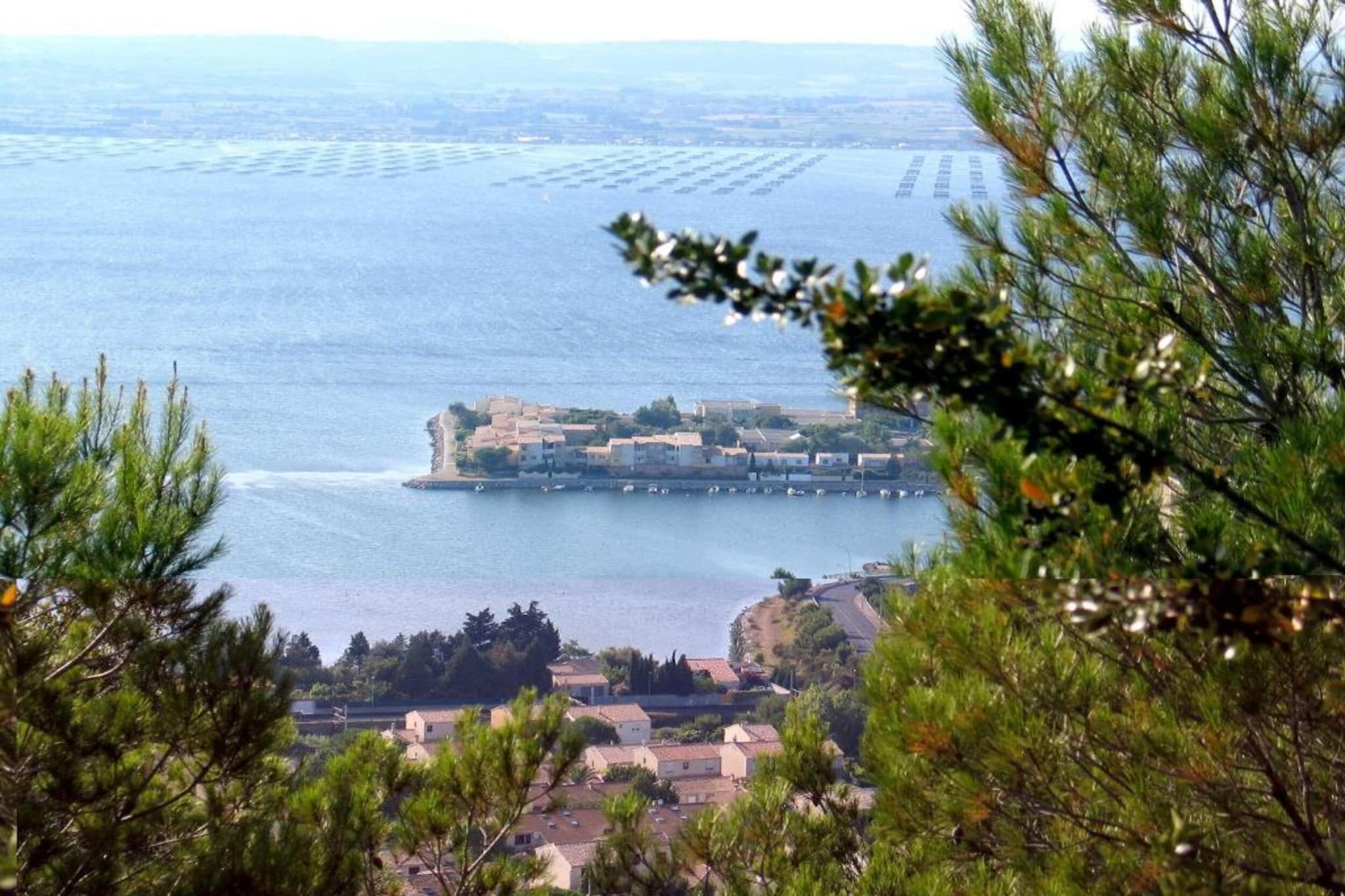 Club Saint Loup 3-Gebieden zomer 20km
