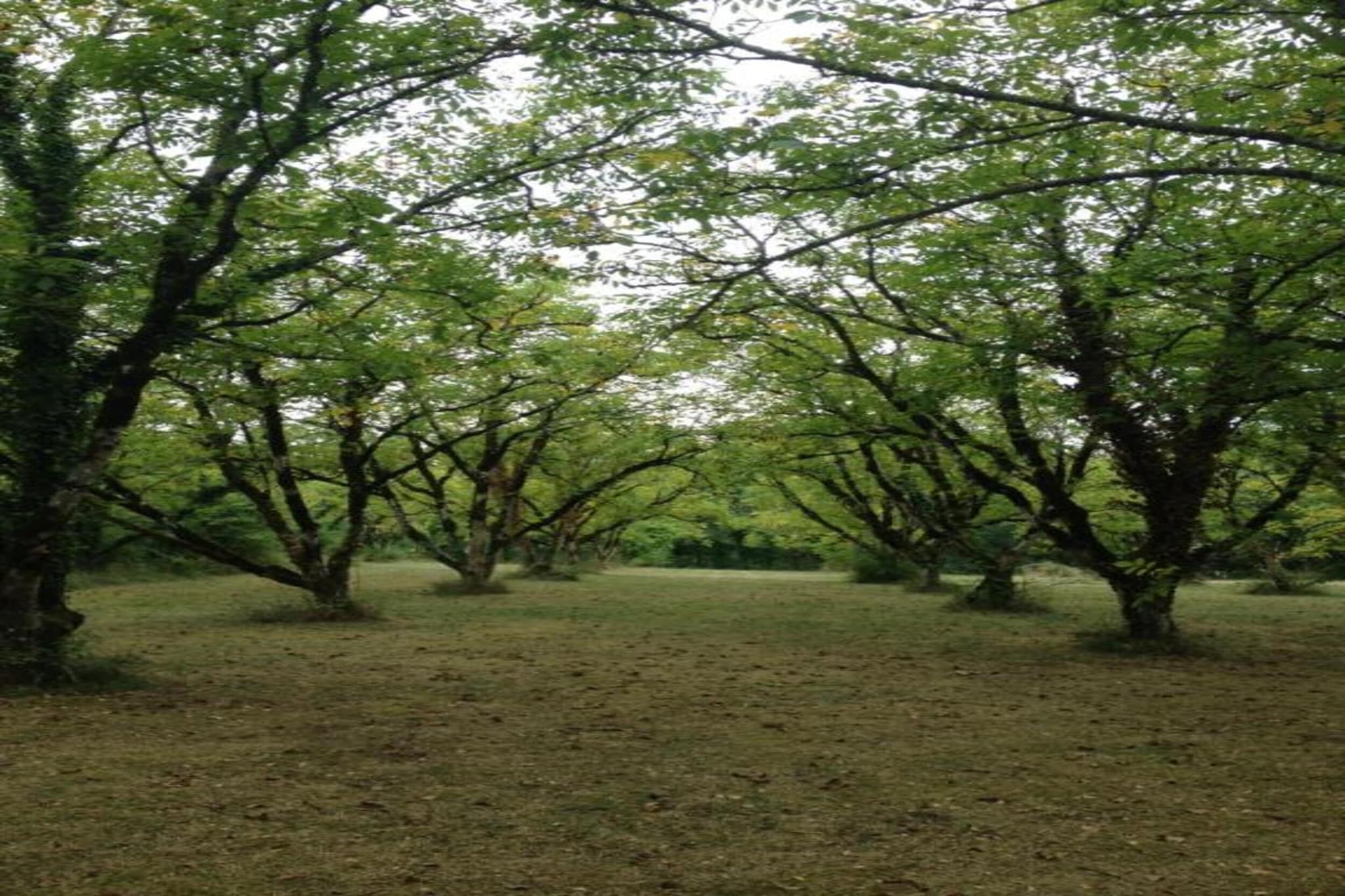 The Studio-Areas summer 20km