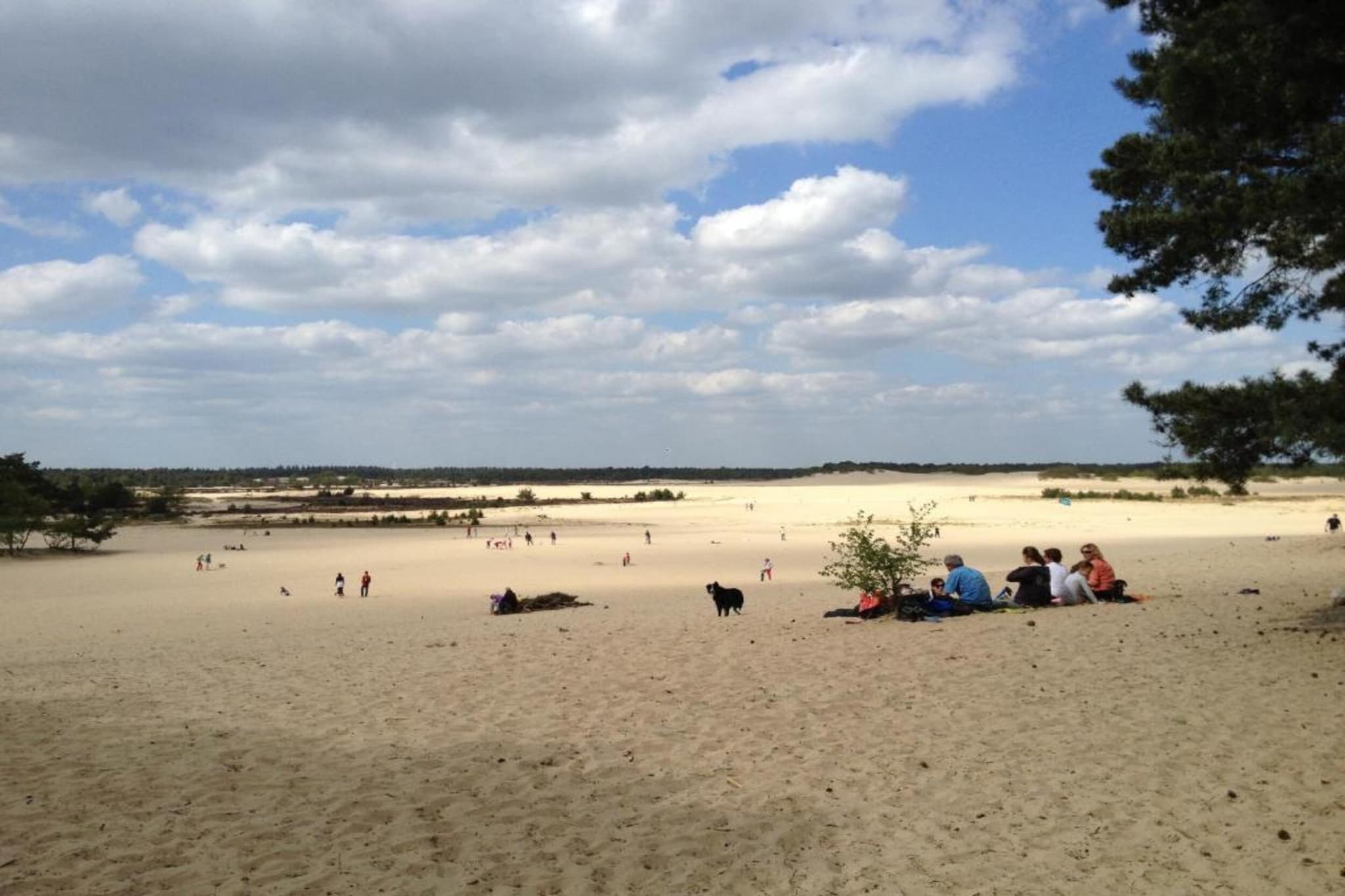 Recreatiepark Duinhoeve 3-Gebieden zomer 20km