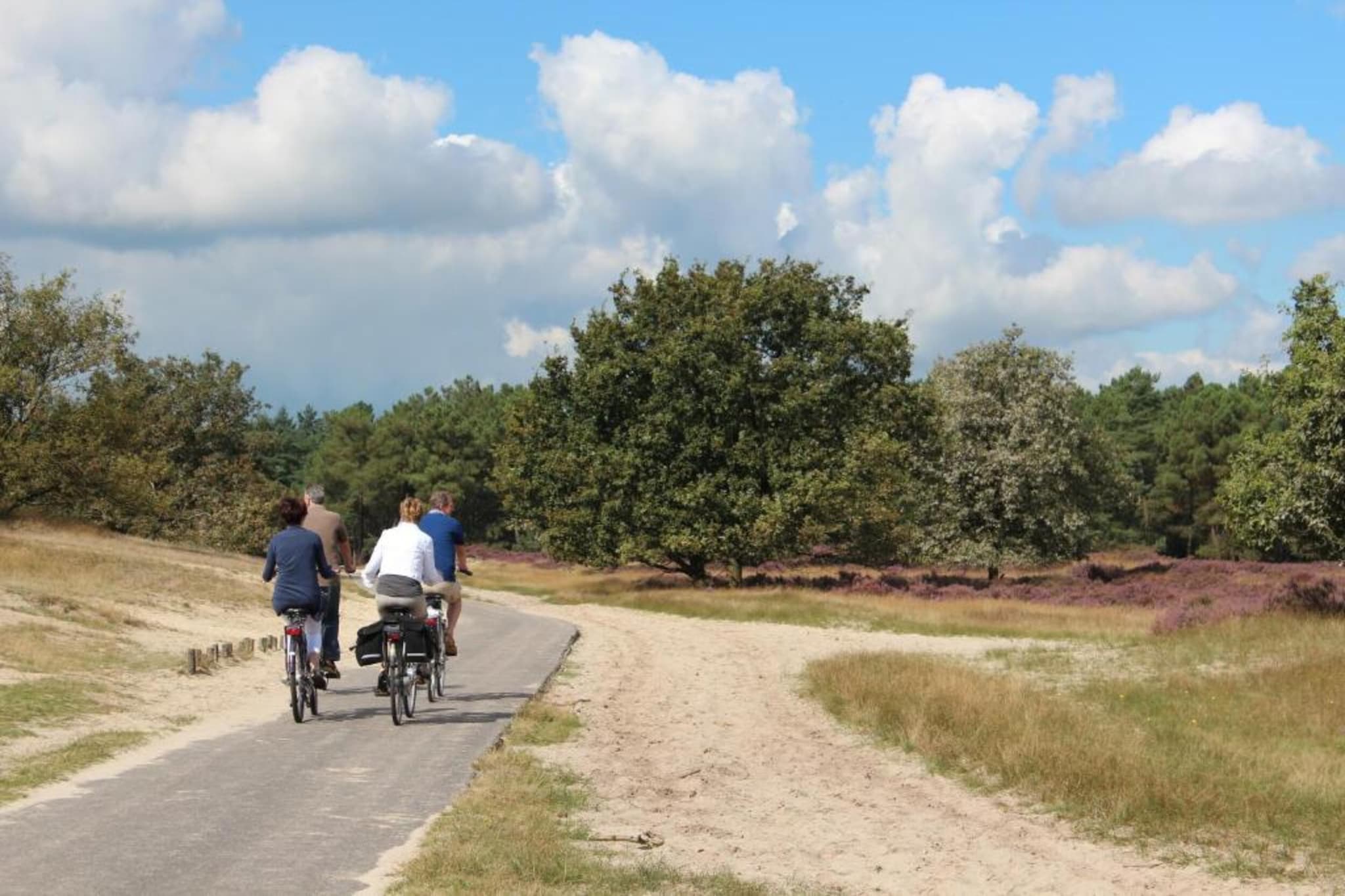 Recreatiepark Duinhoeve 3-Gebieden zomer 20km