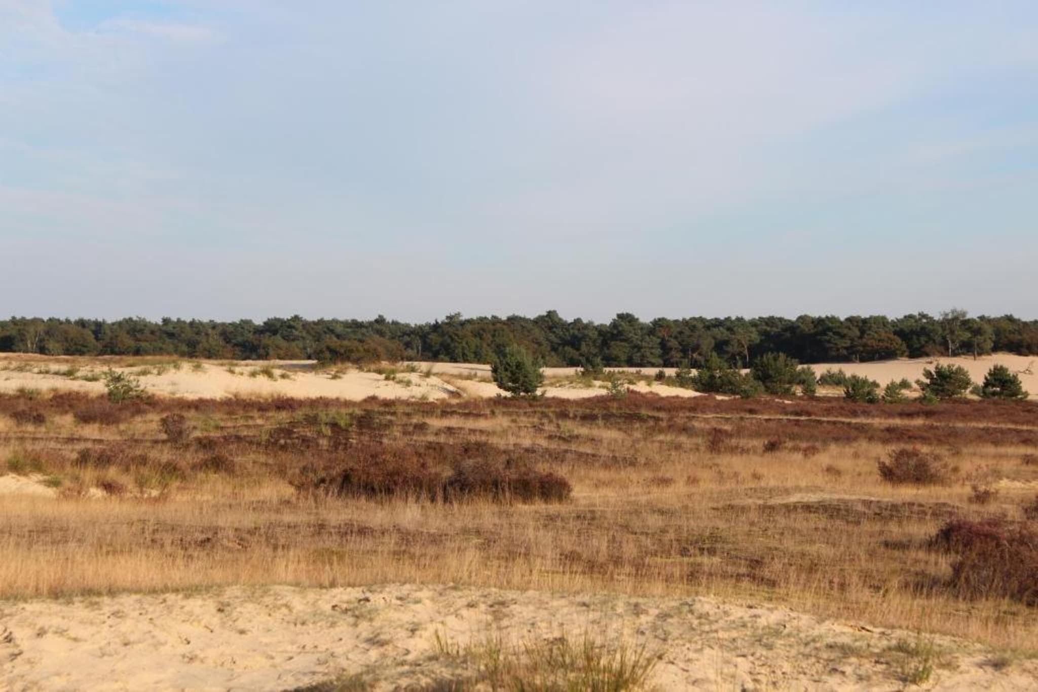 Recreatiepark Duinhoeve 3-Gebieden zomer 20km