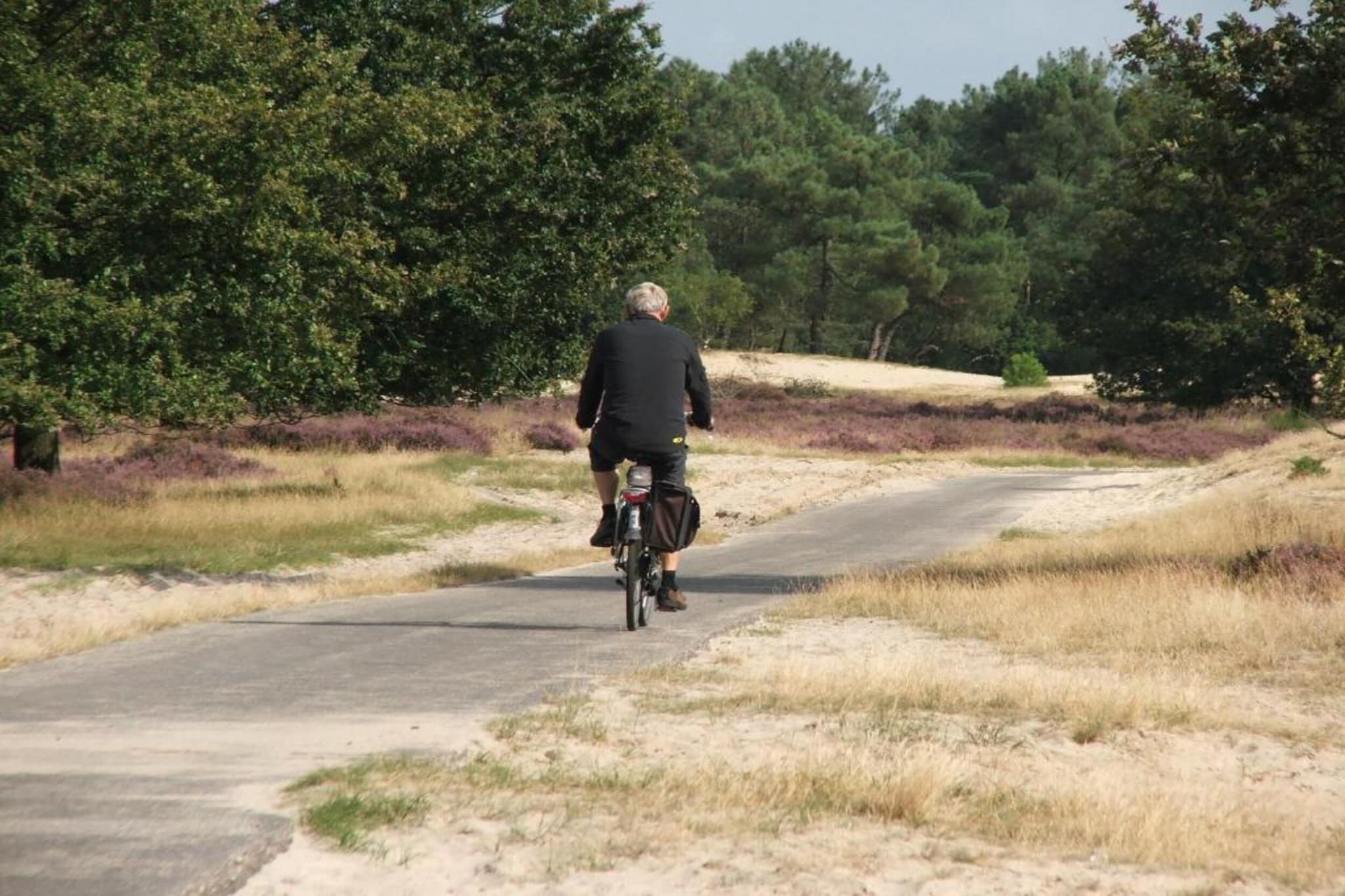 Recreatiepark Duinhoeve 3-Gebieden zomer 20km