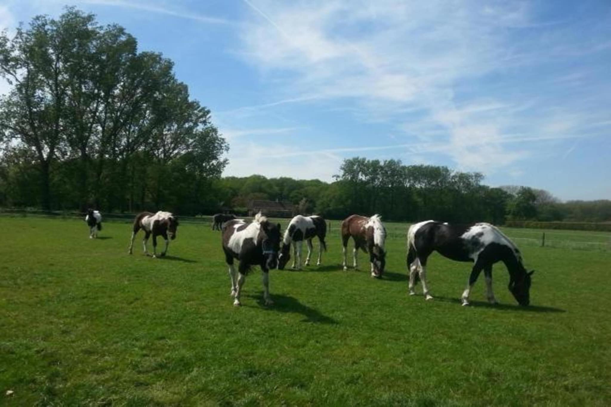 Recreatiepark Duinhoeve 3-Gebieden zomer 20km