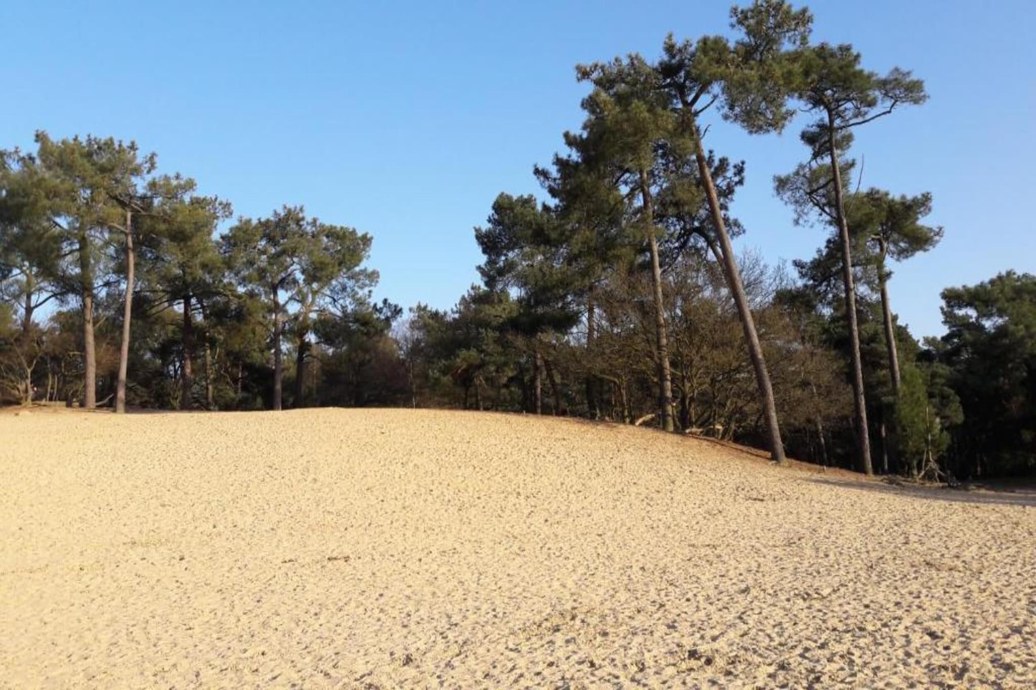 Recreatiepark Duinhoeve 3-Gebieden zomer 20km