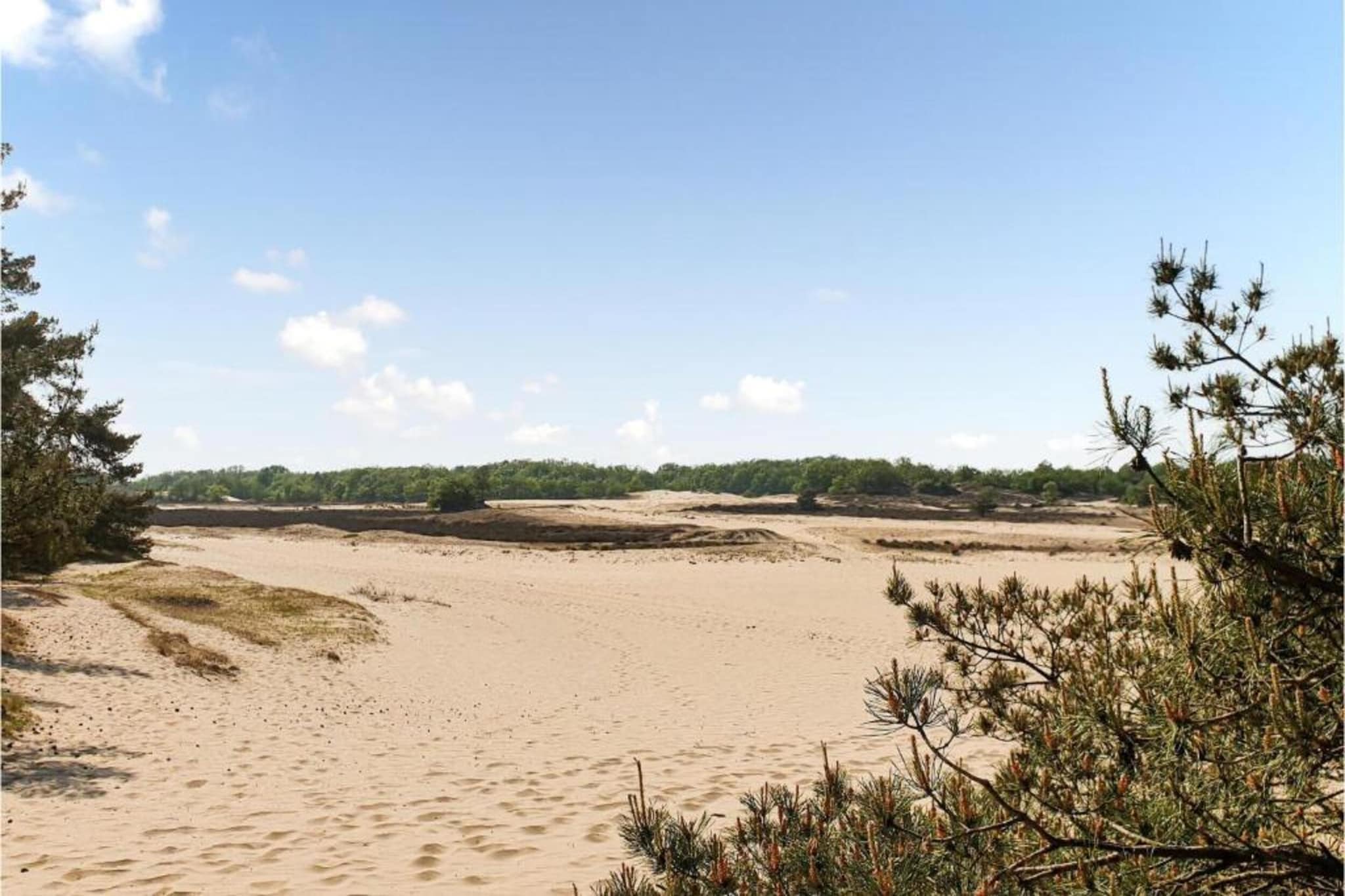 Recreatiepark Duinhoeve 3-Gebieden zomer 20km