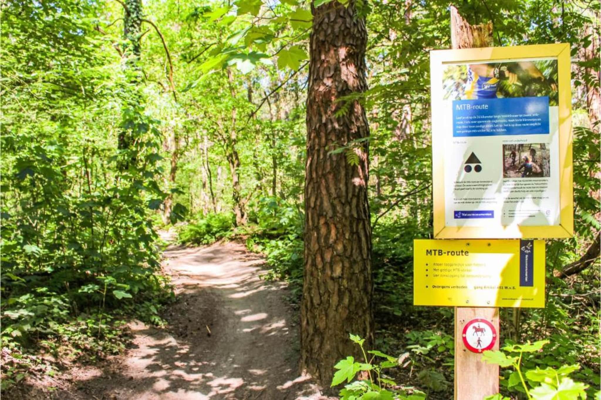 Recreatiepark Duinhoeve 3-Gebieden zomer 20km