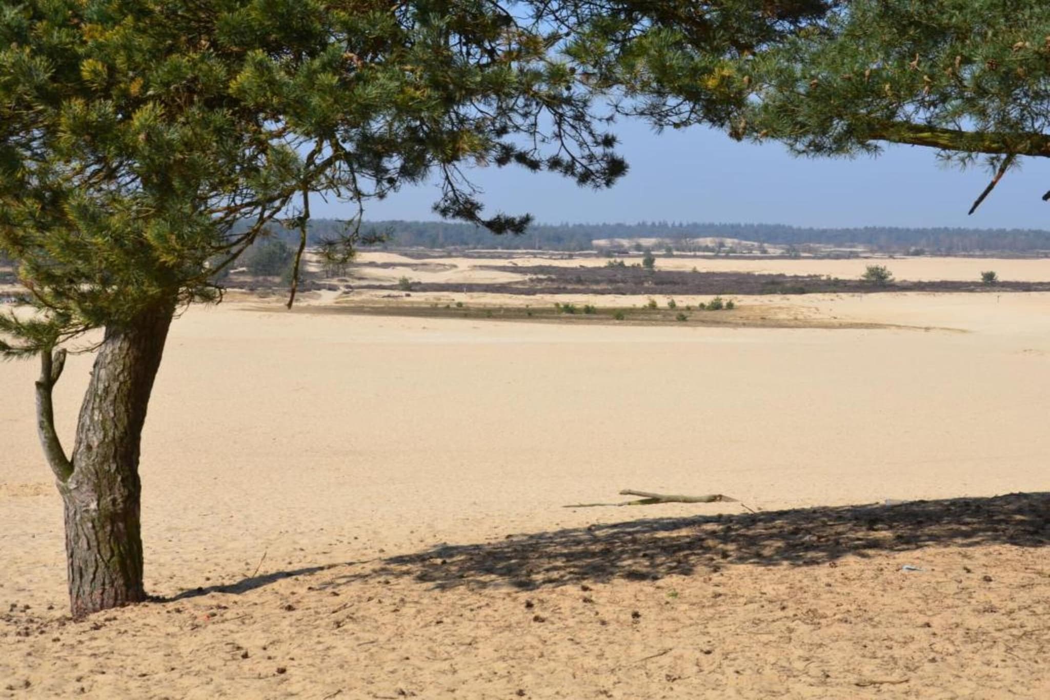 Recreatiepark Duinhoeve 3-Gebieden zomer 20km
