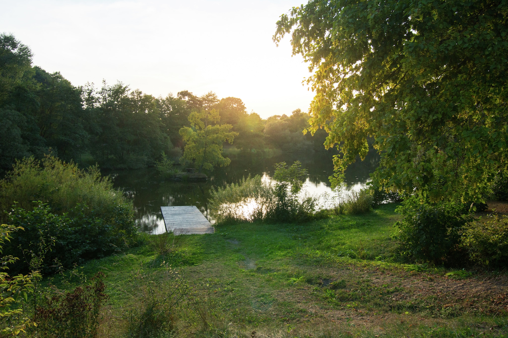 Wohnung in Frankenau mit Terrasse