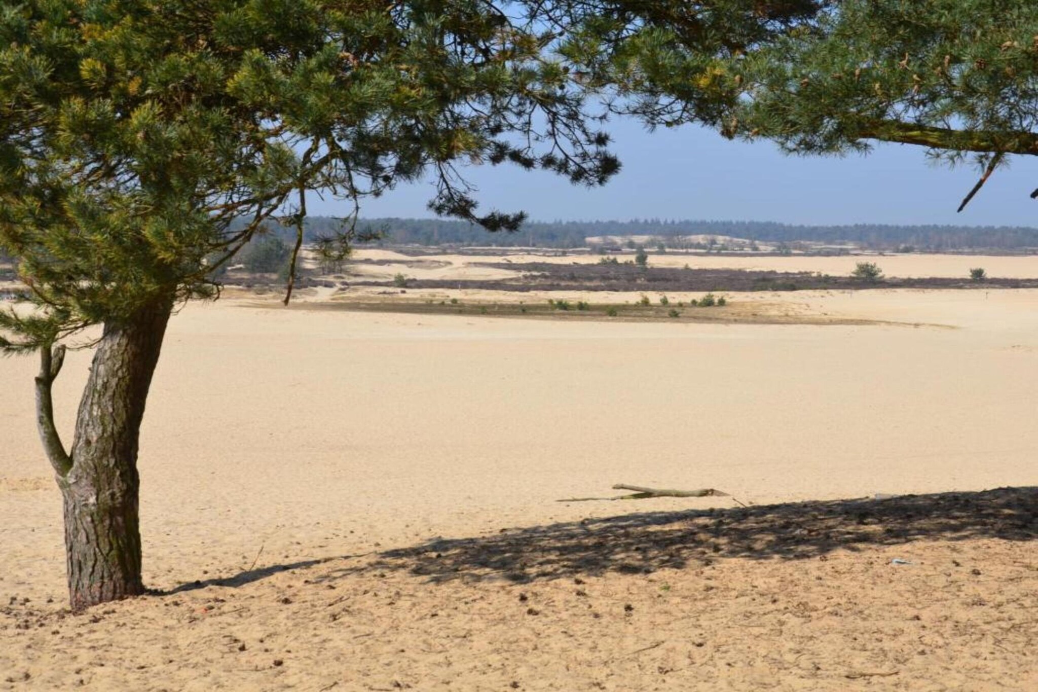 Recreatiepark Duinhoeve 6-Gebieden zomer 20km