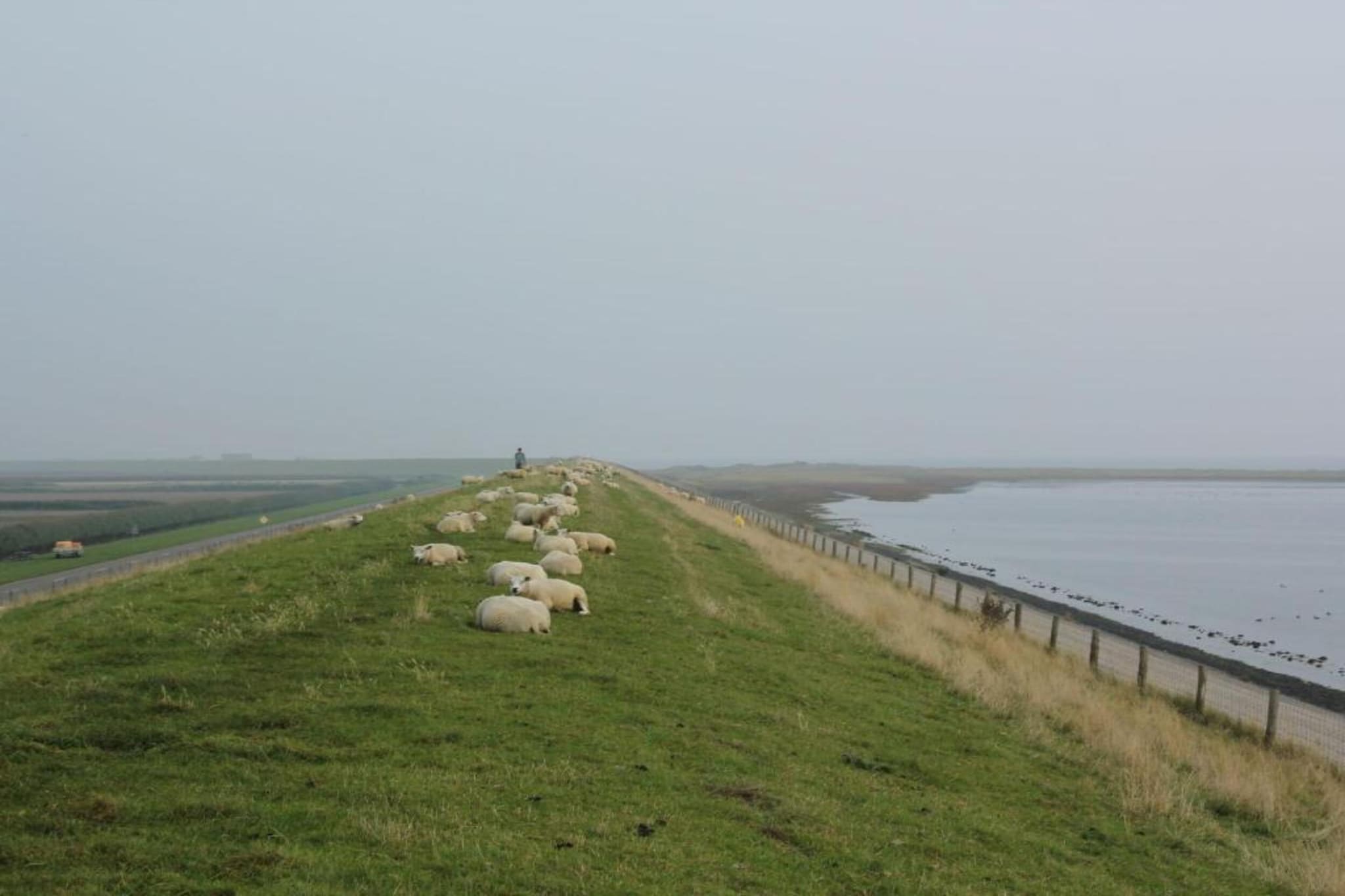 't Hoogelandt 4-Gebieden zomer 20km